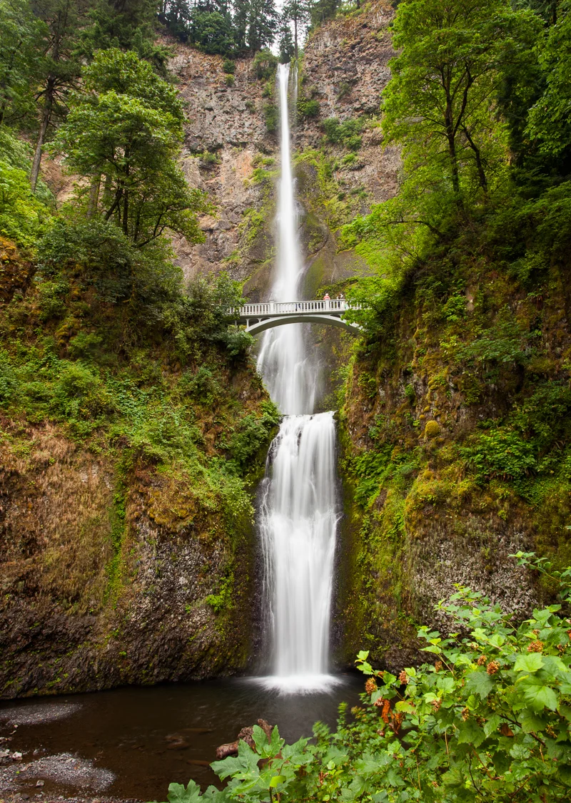 Multnomah Falls, just outside Portland, OR