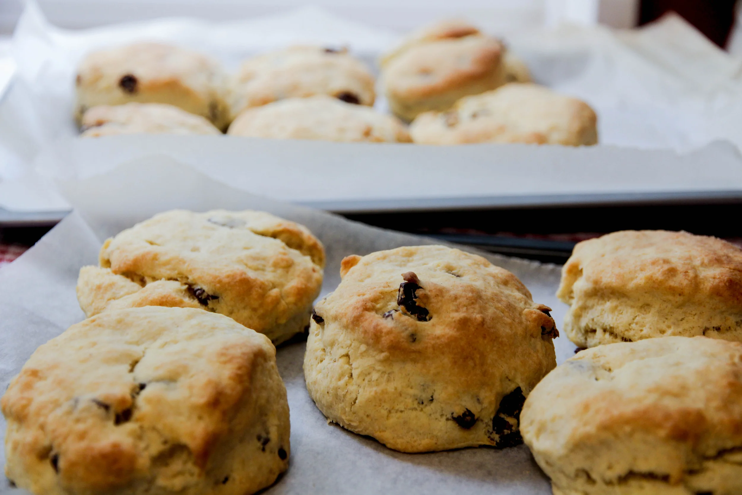 Raisin Scones — Wild Apple Acres
