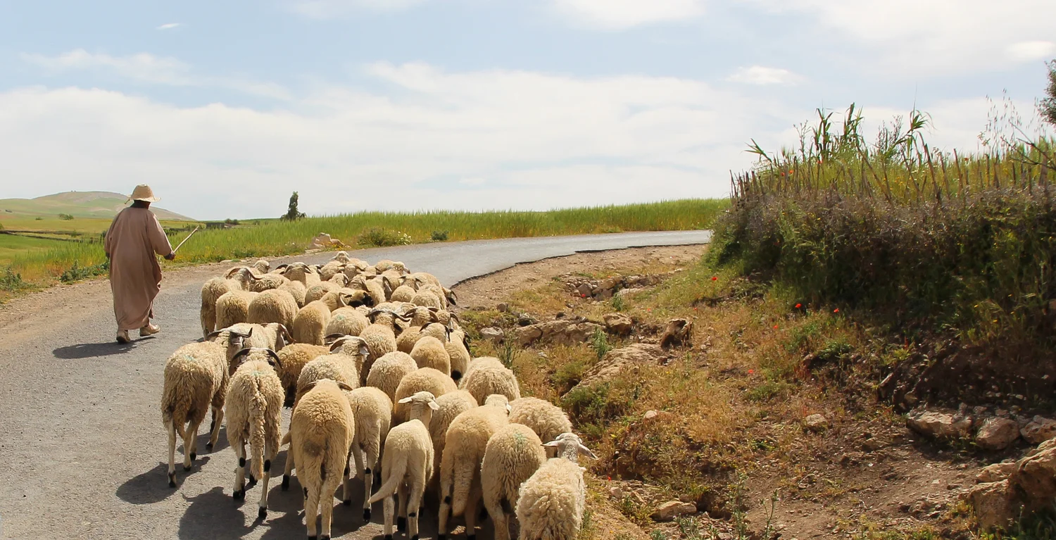 Atlas Mountains, Morocco