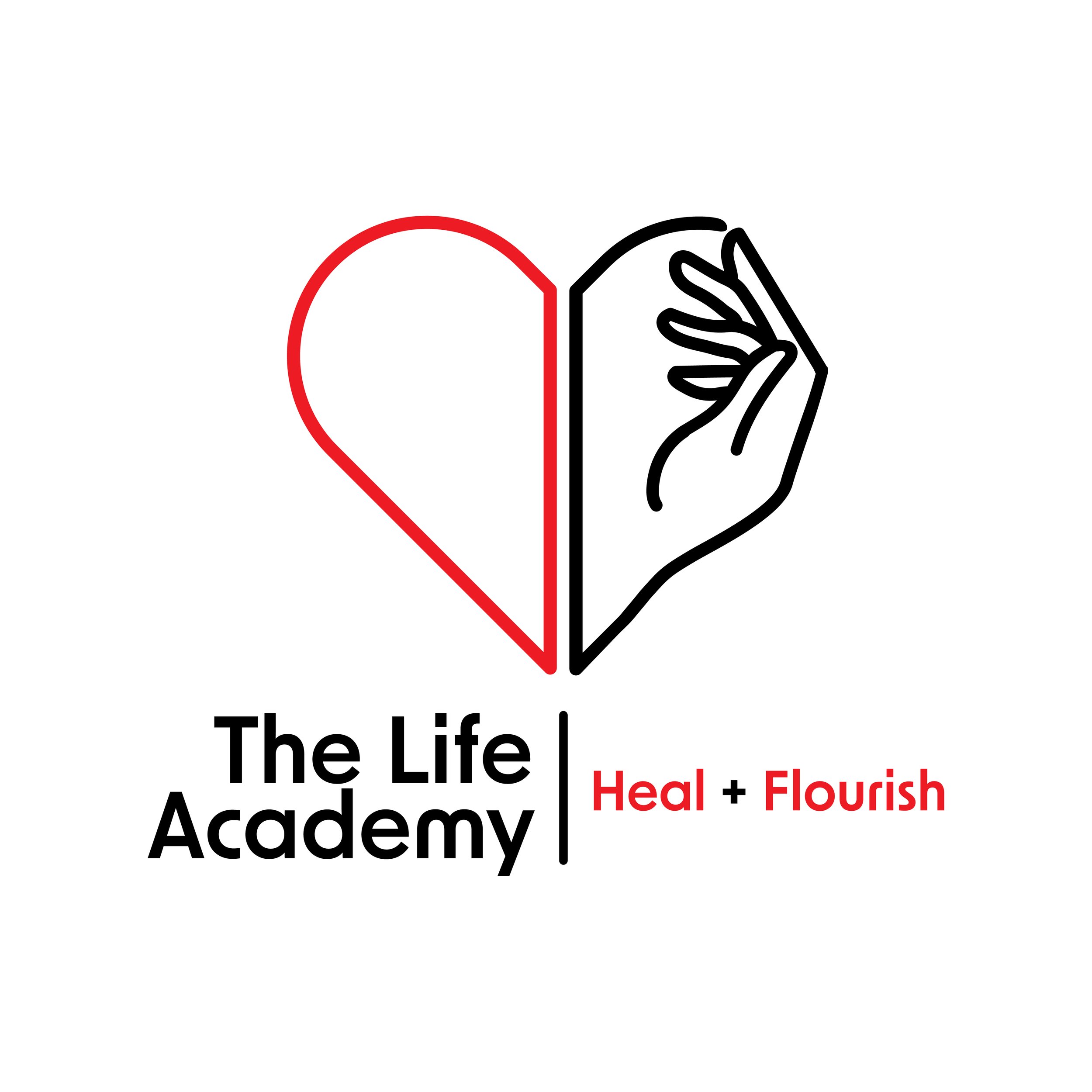 The Life Academy 