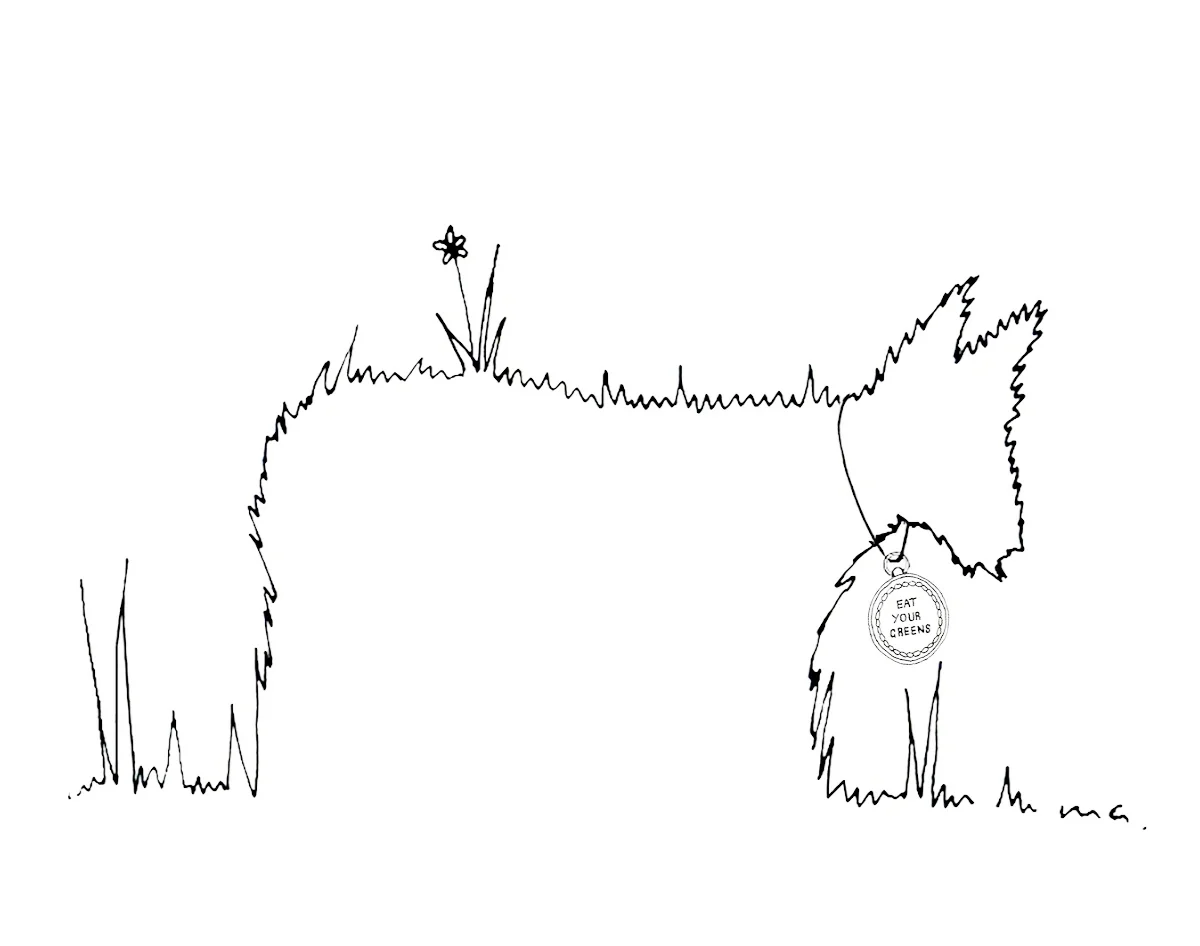 Grass+Fed+Cow+2.jpg