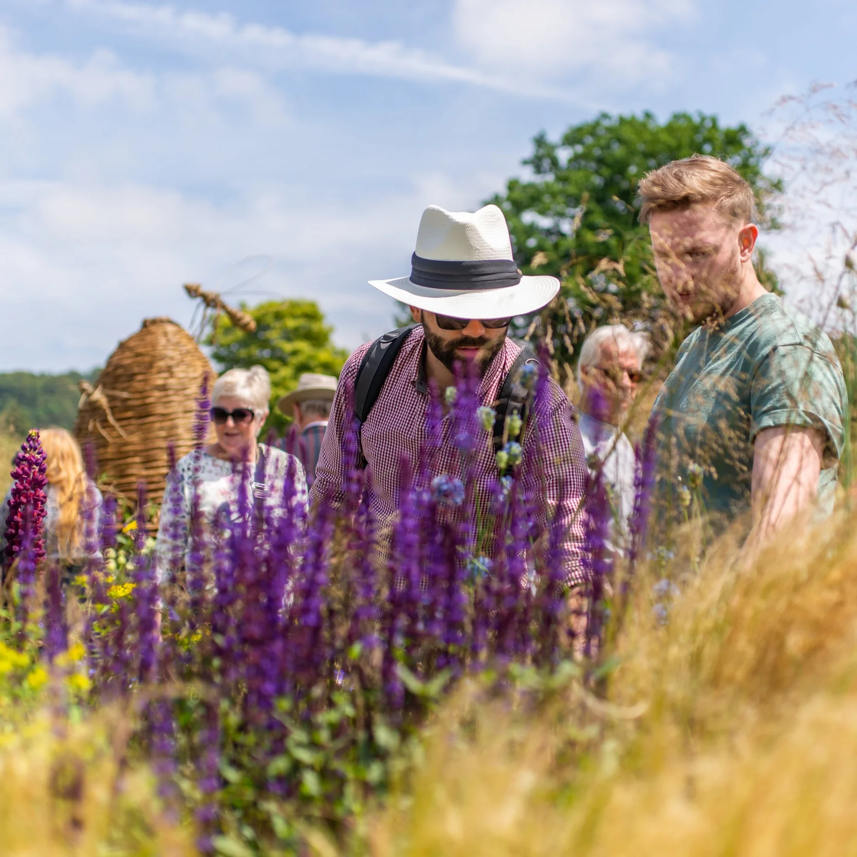 RHS Chatsworth- Summer Breeze - 44 (re).jpg