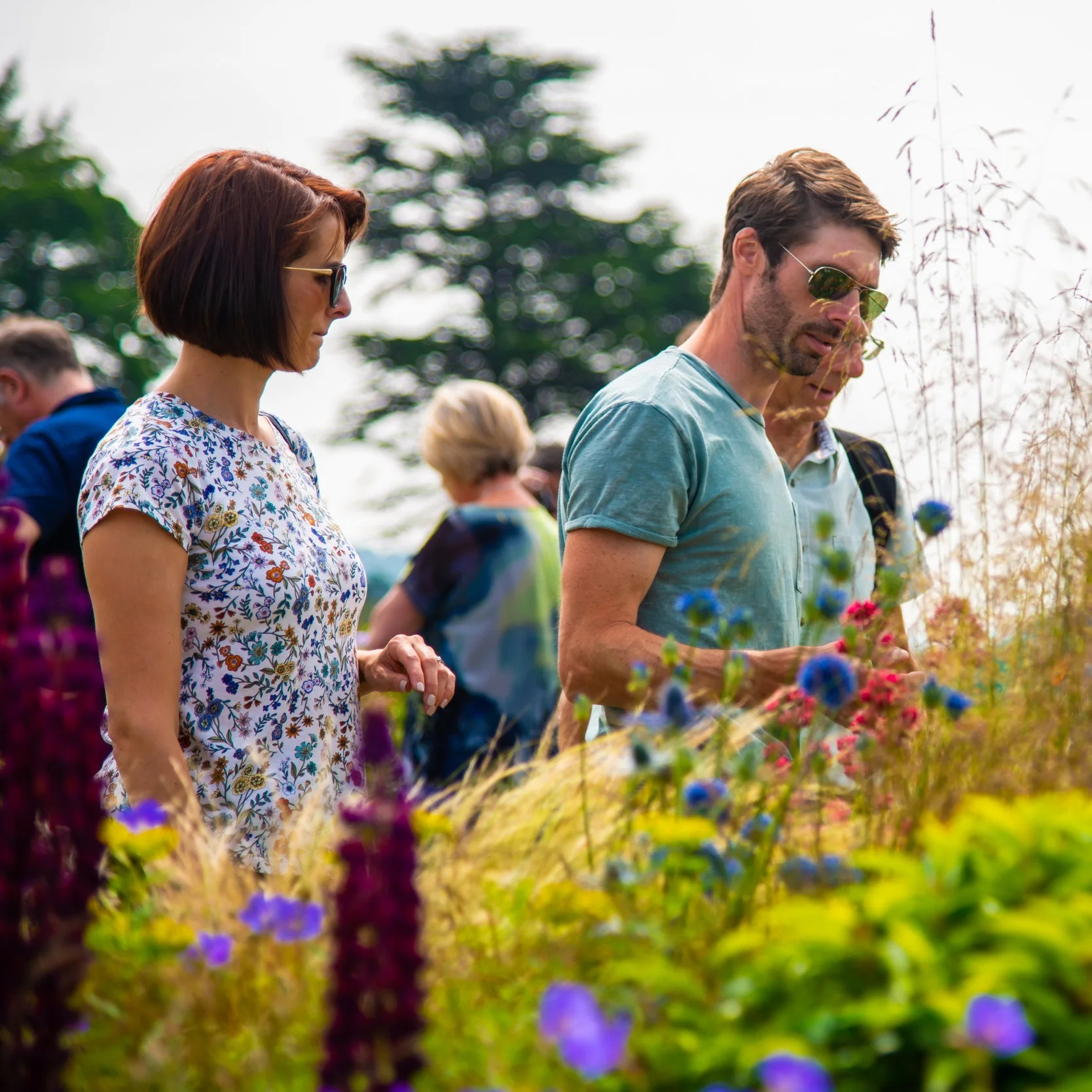 RHS Chatsworth Summer Breeze - 4 (re).jpg