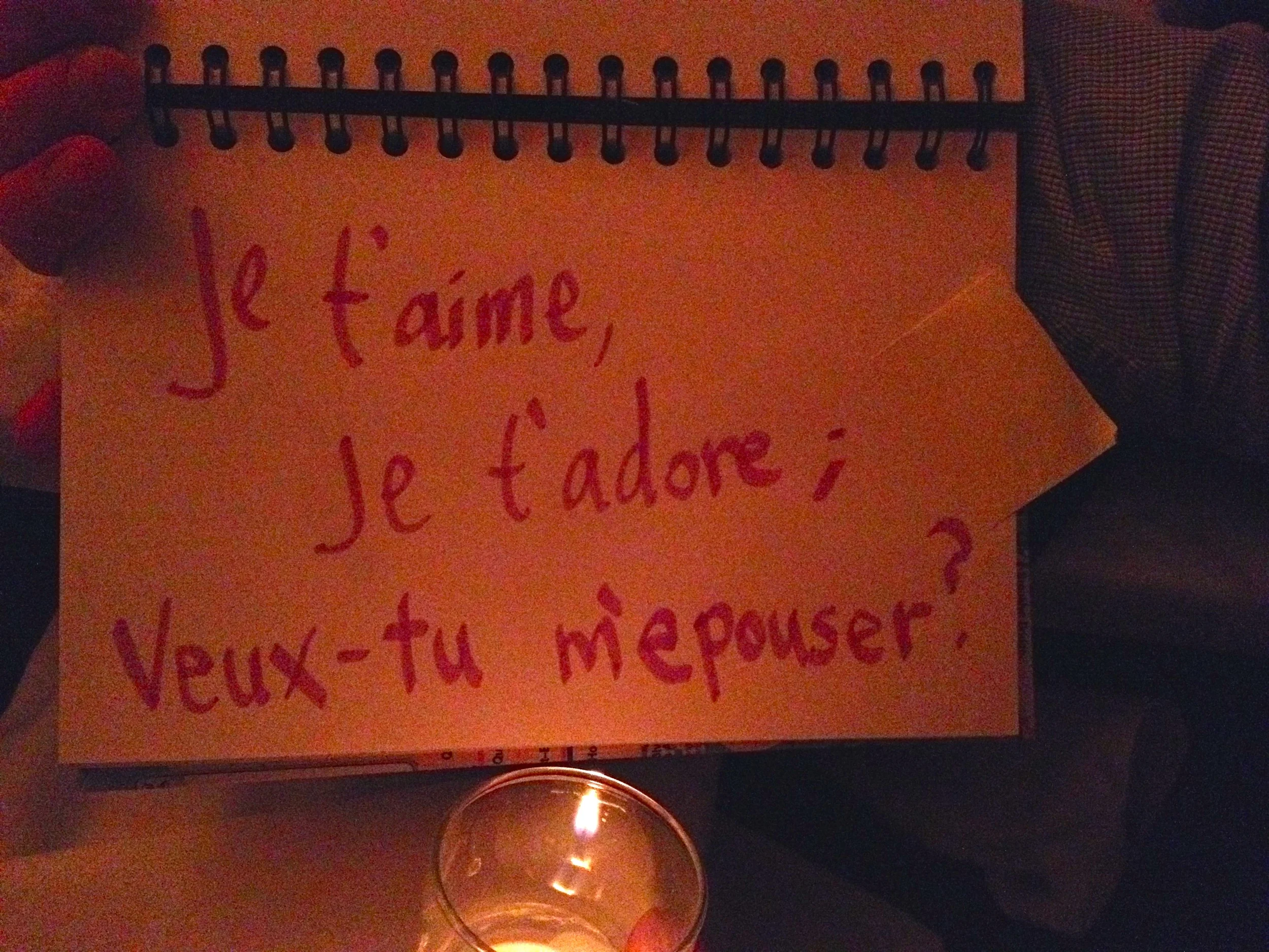 #7 Je t'aime, je t'adore; veux-tu m'épouser?