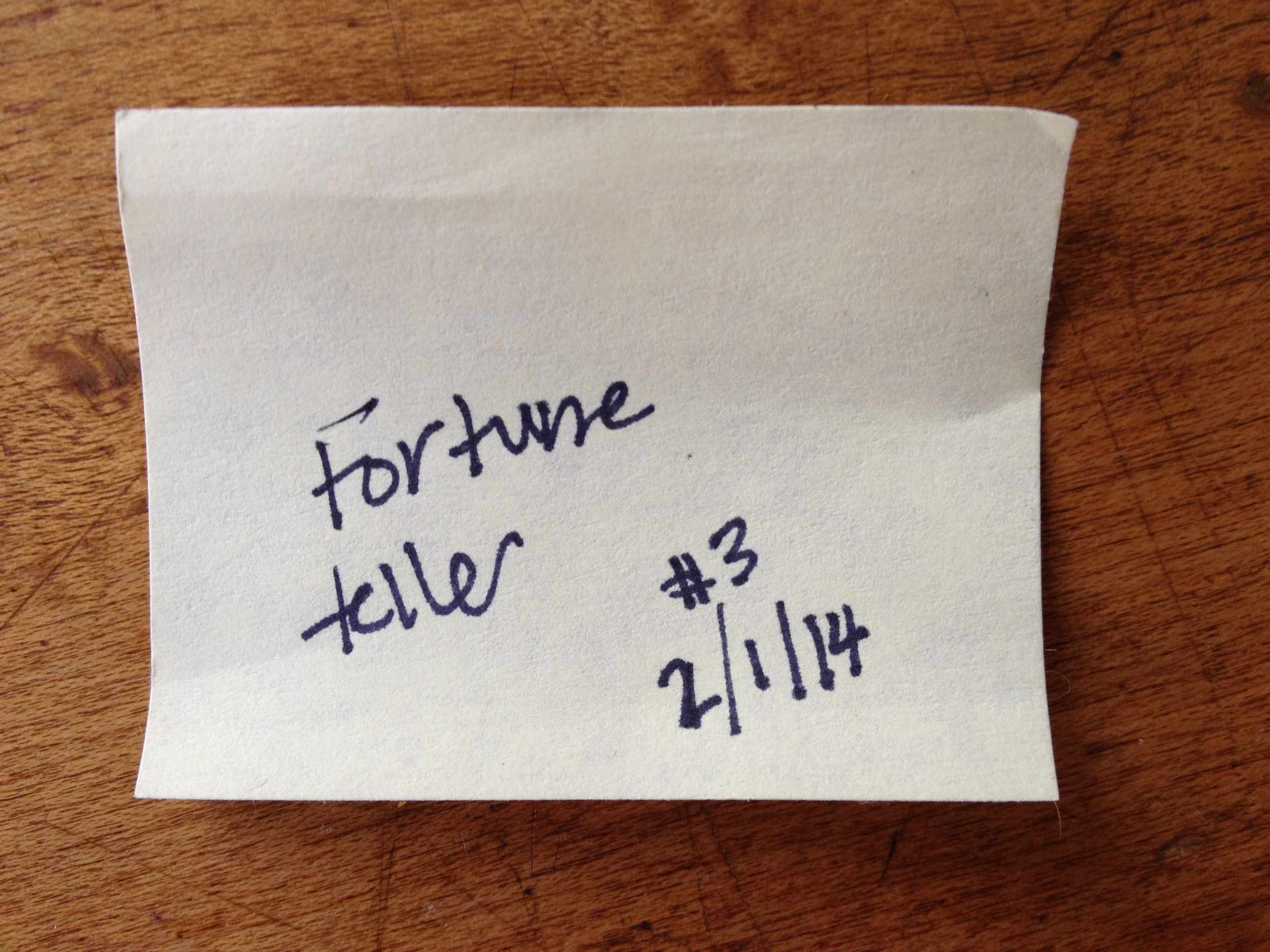 #3 lost fortune teller