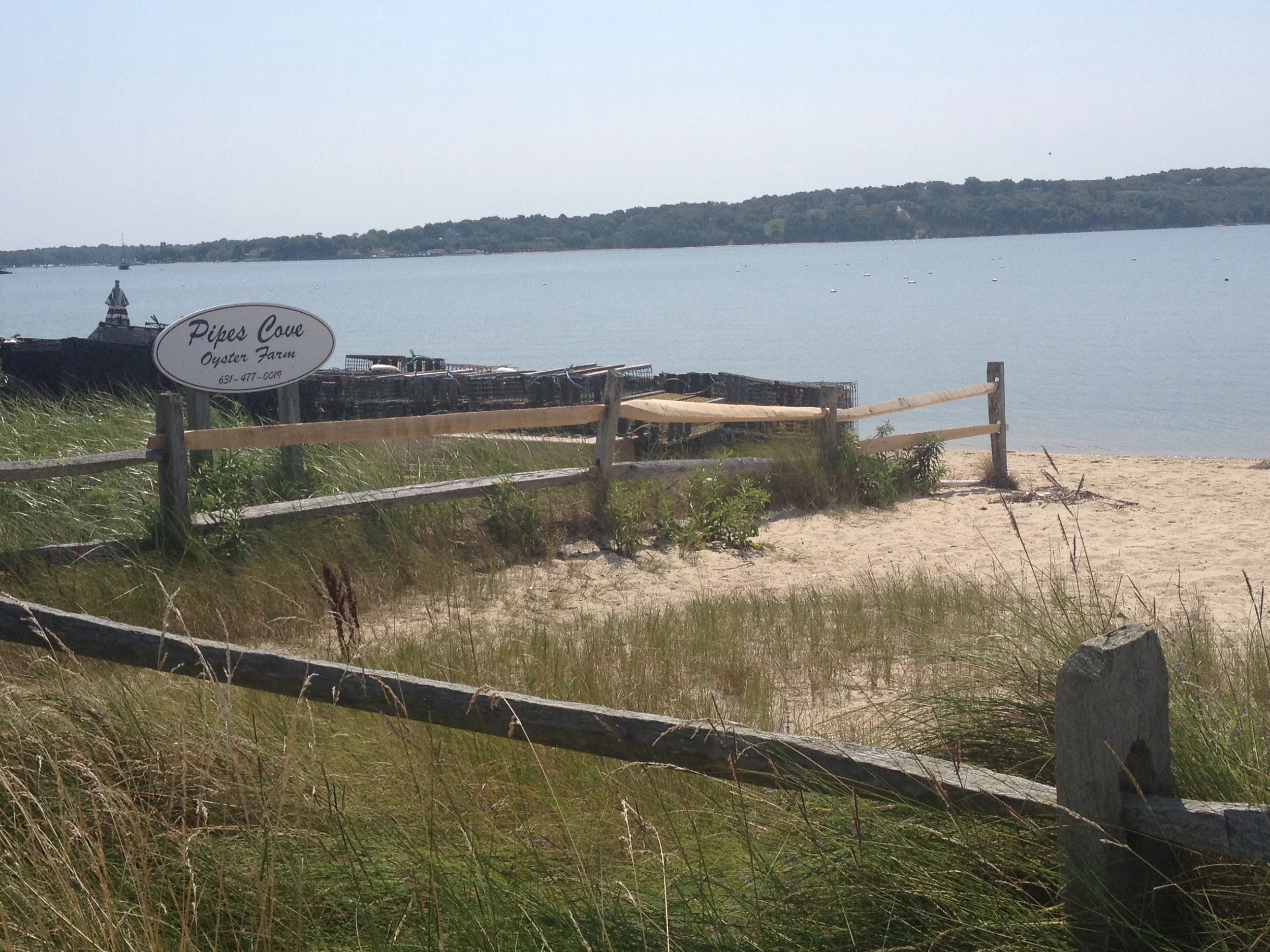 The shores of Greenport.