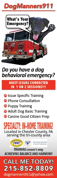 DogManners911 Promo
