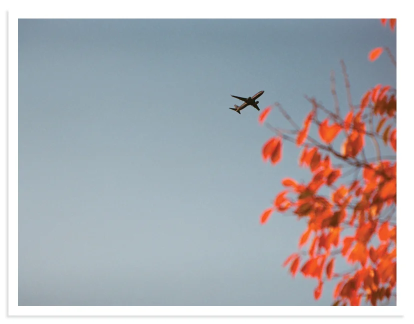 AUTUMN_FLIGHT.jpg