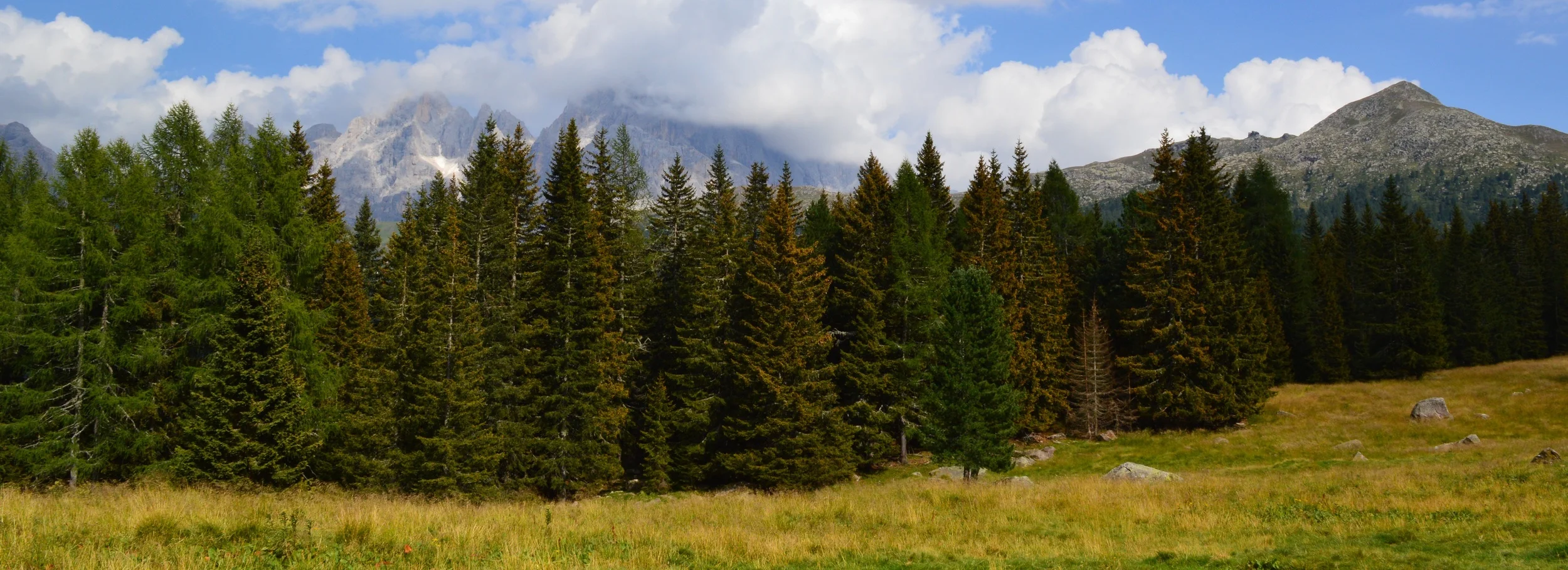 DSC_0073 - Copia.JPG