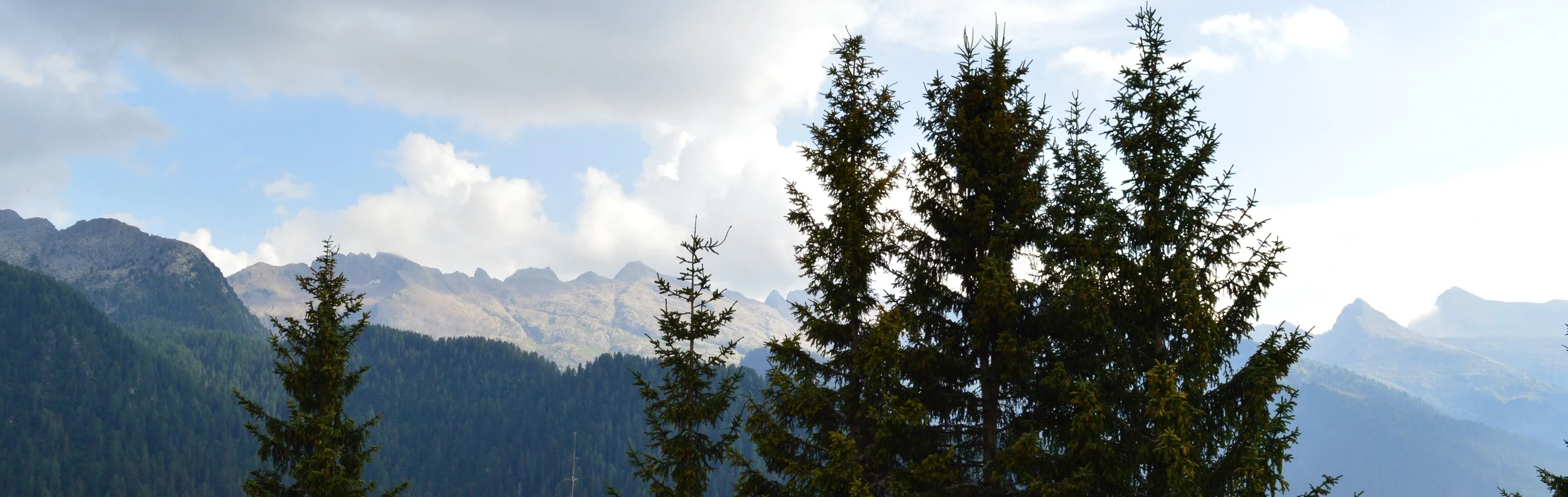 DSC_0150 - Copia.JPG