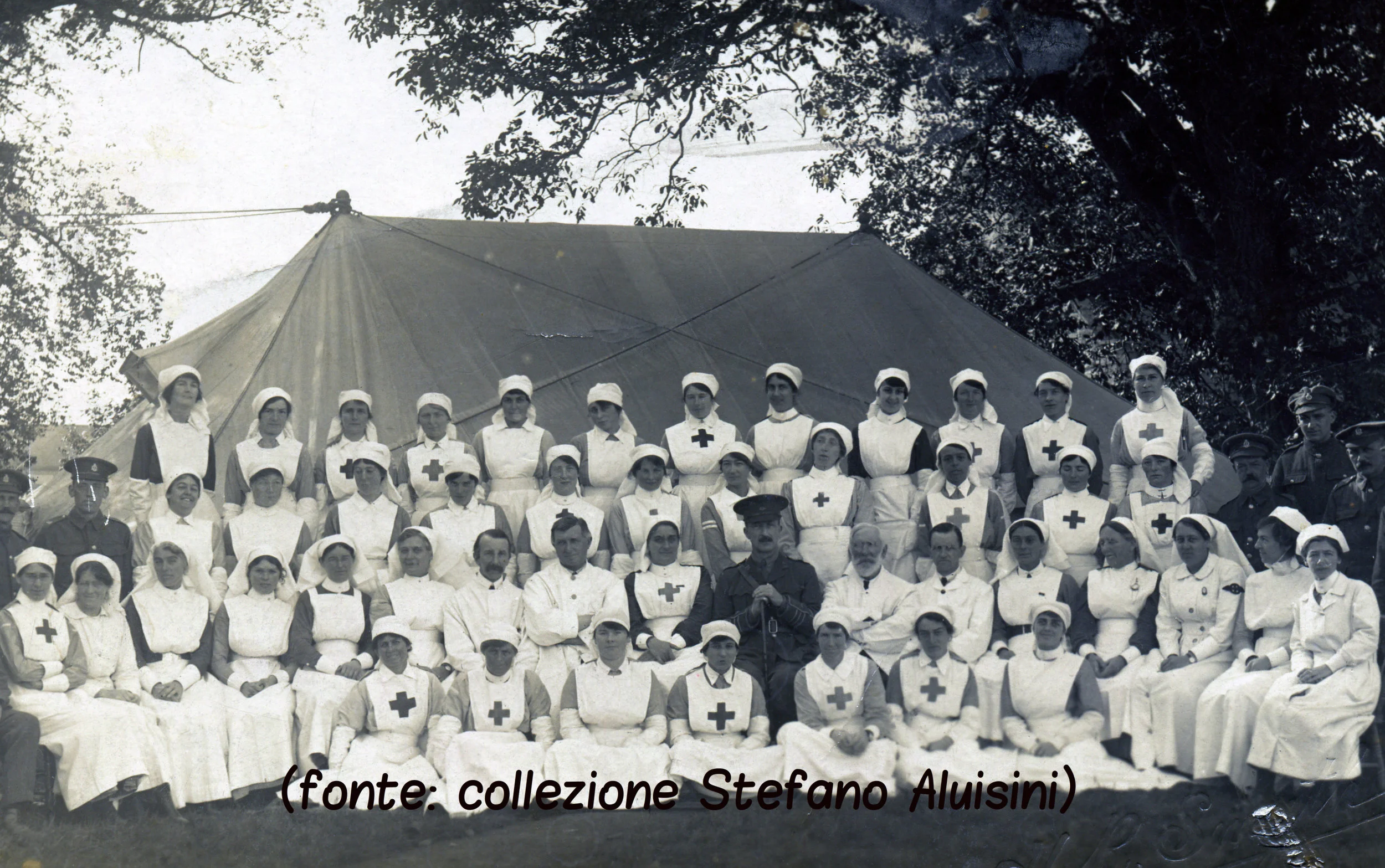 125a infermiere in ospedale britannico.jpg