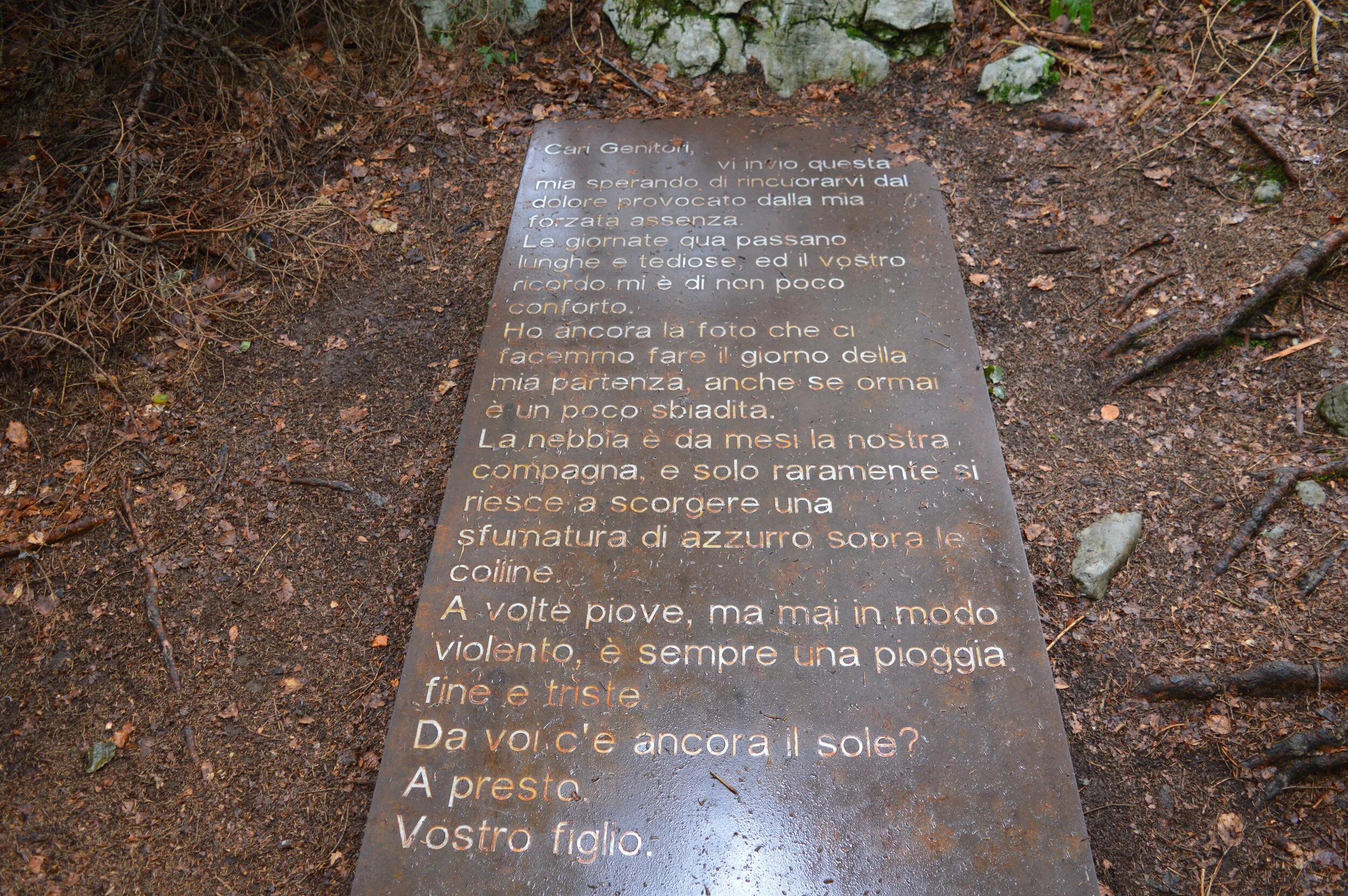 DSC_0258.JPG