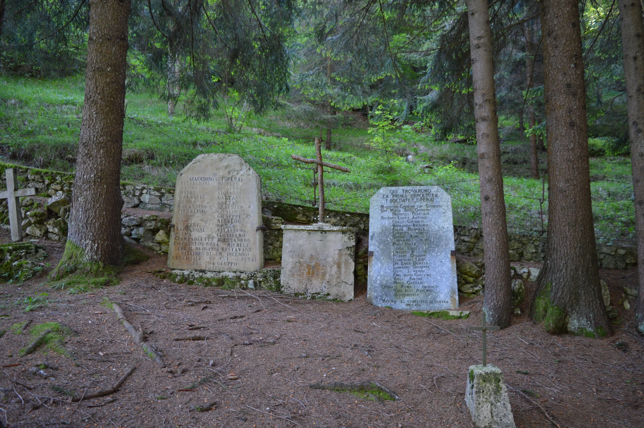 DSC_0019.JPG