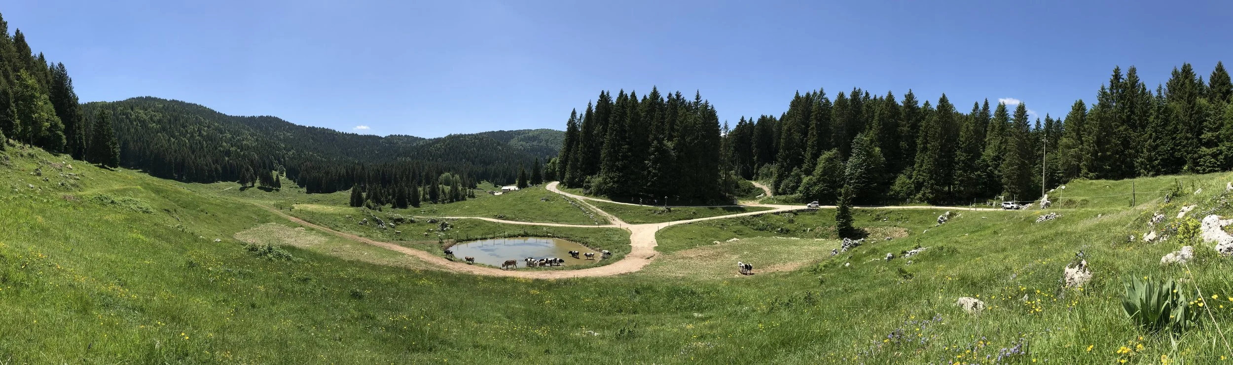 IMG_7647 - Copia.JPG