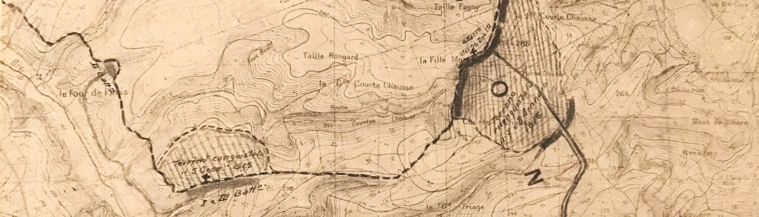 IMG_0895 - Copia.JPG