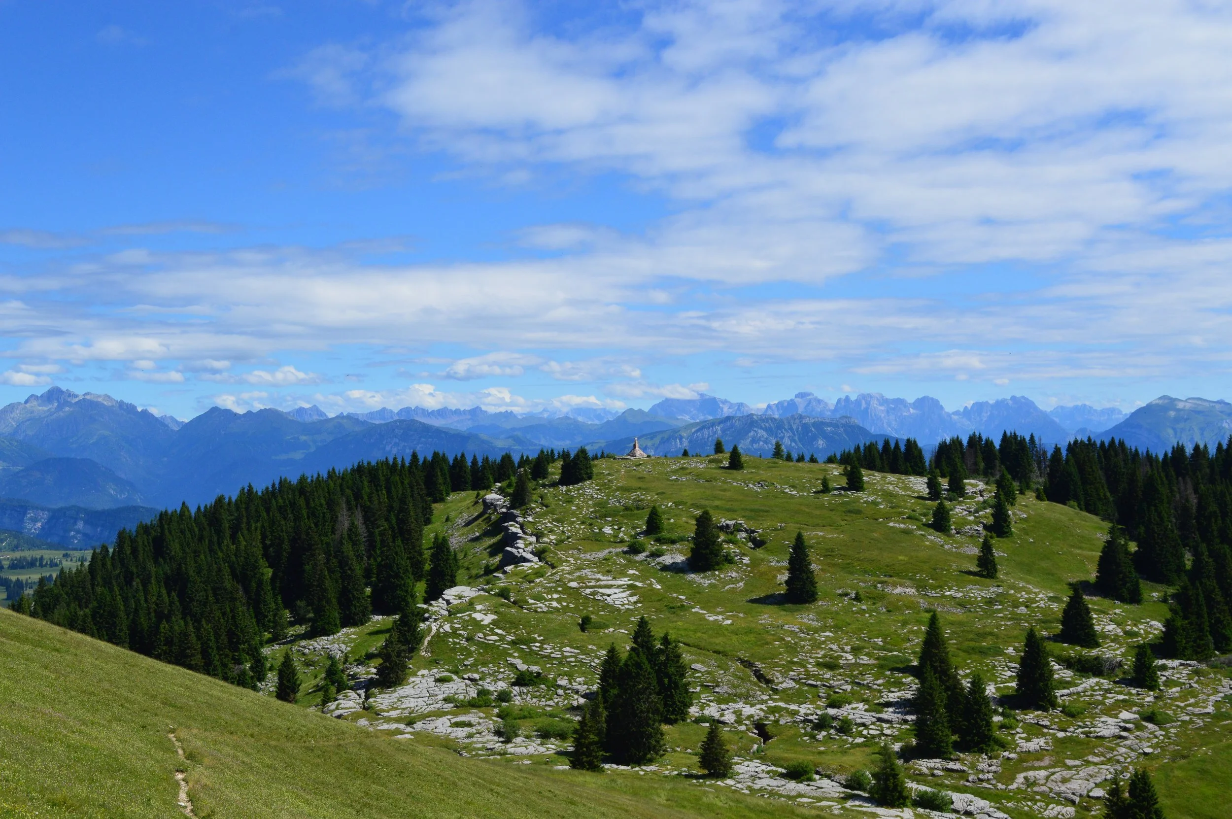 DSC_0331 ok.JPG