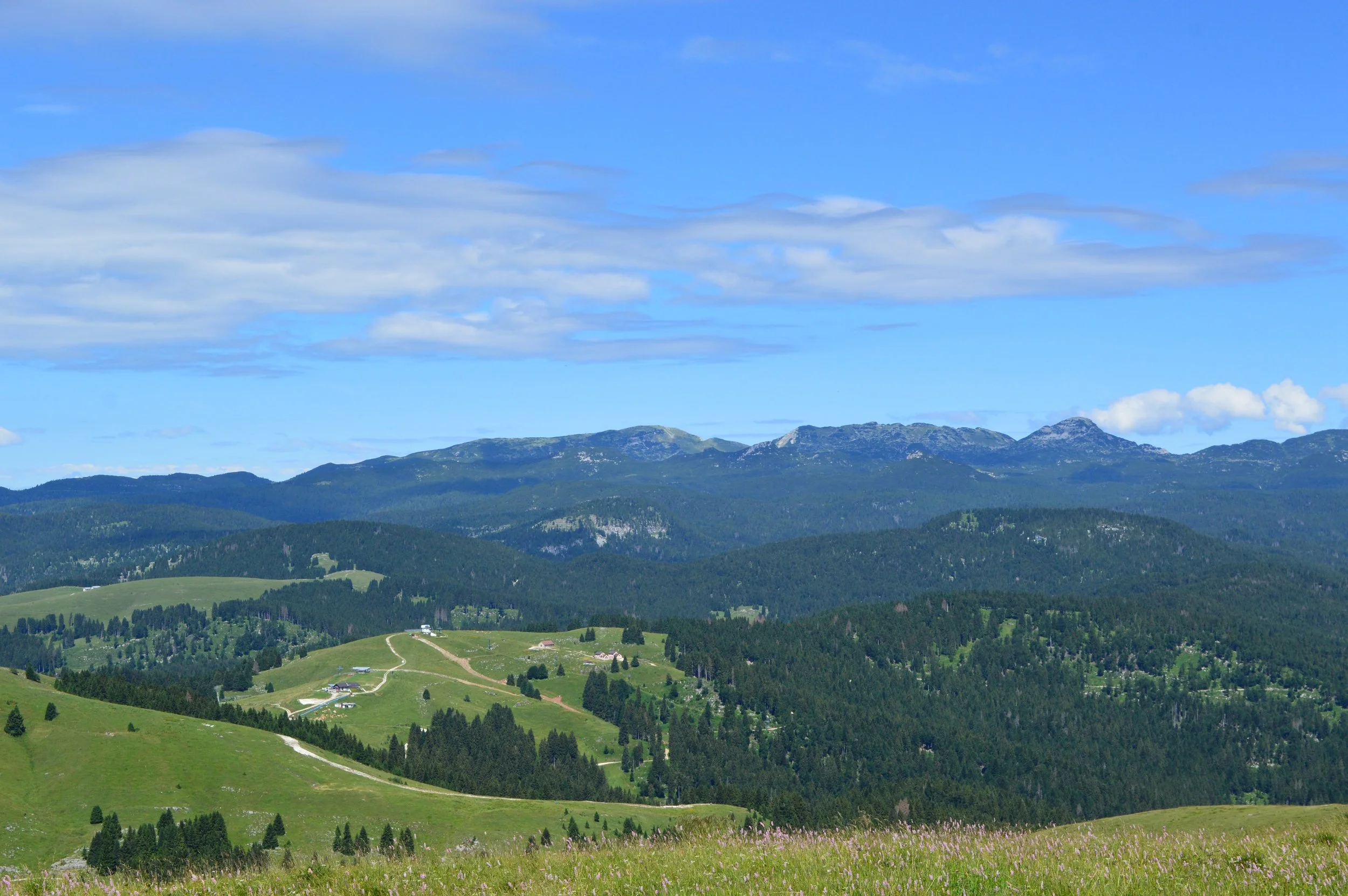 DSC_0347 ok.JPG