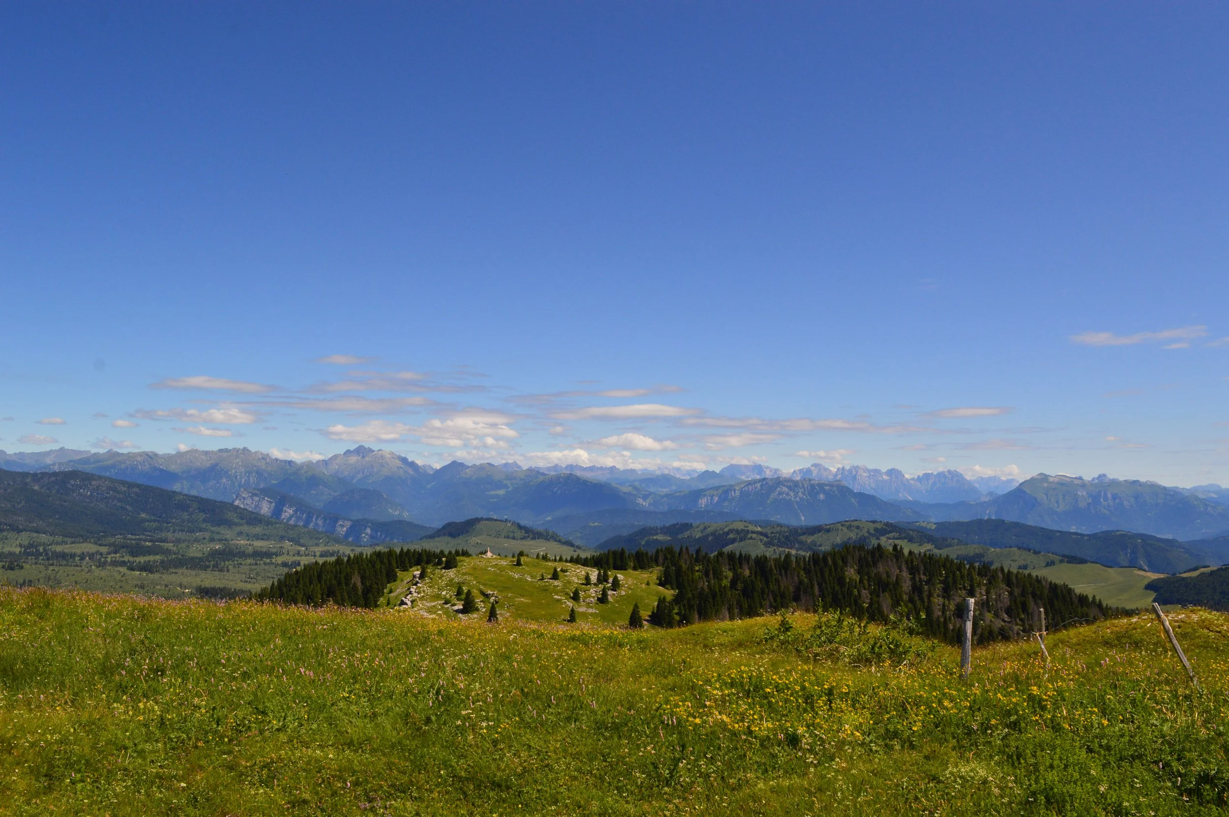 DSC_0348 ok.JPG