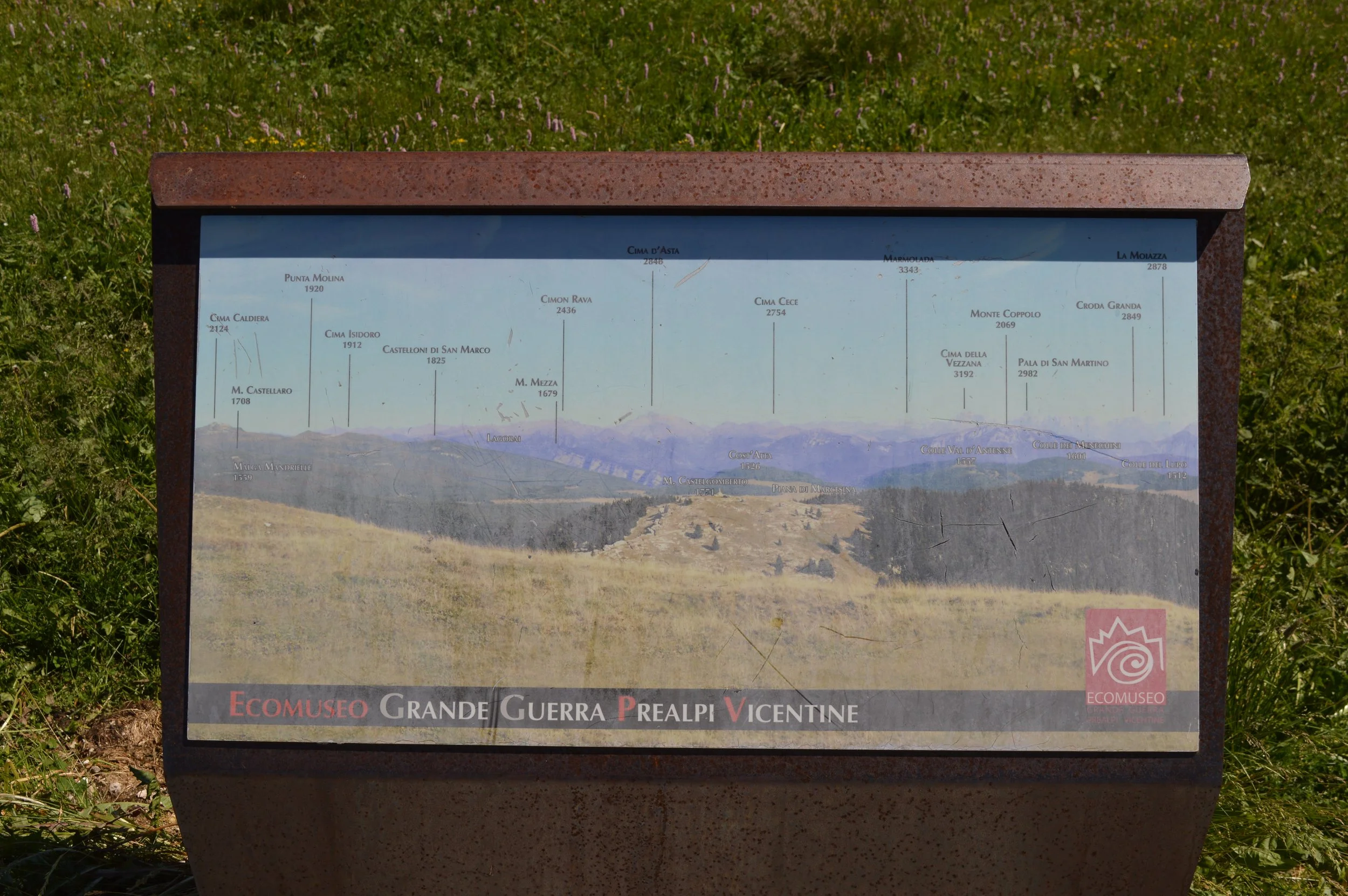 DSC_0350 ok.JPG