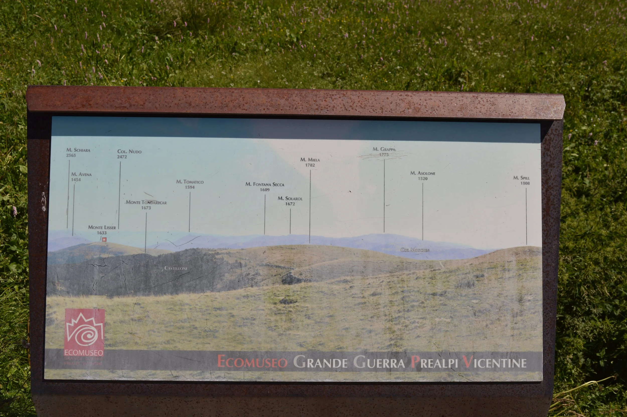 DSC_0351 ok.JPG