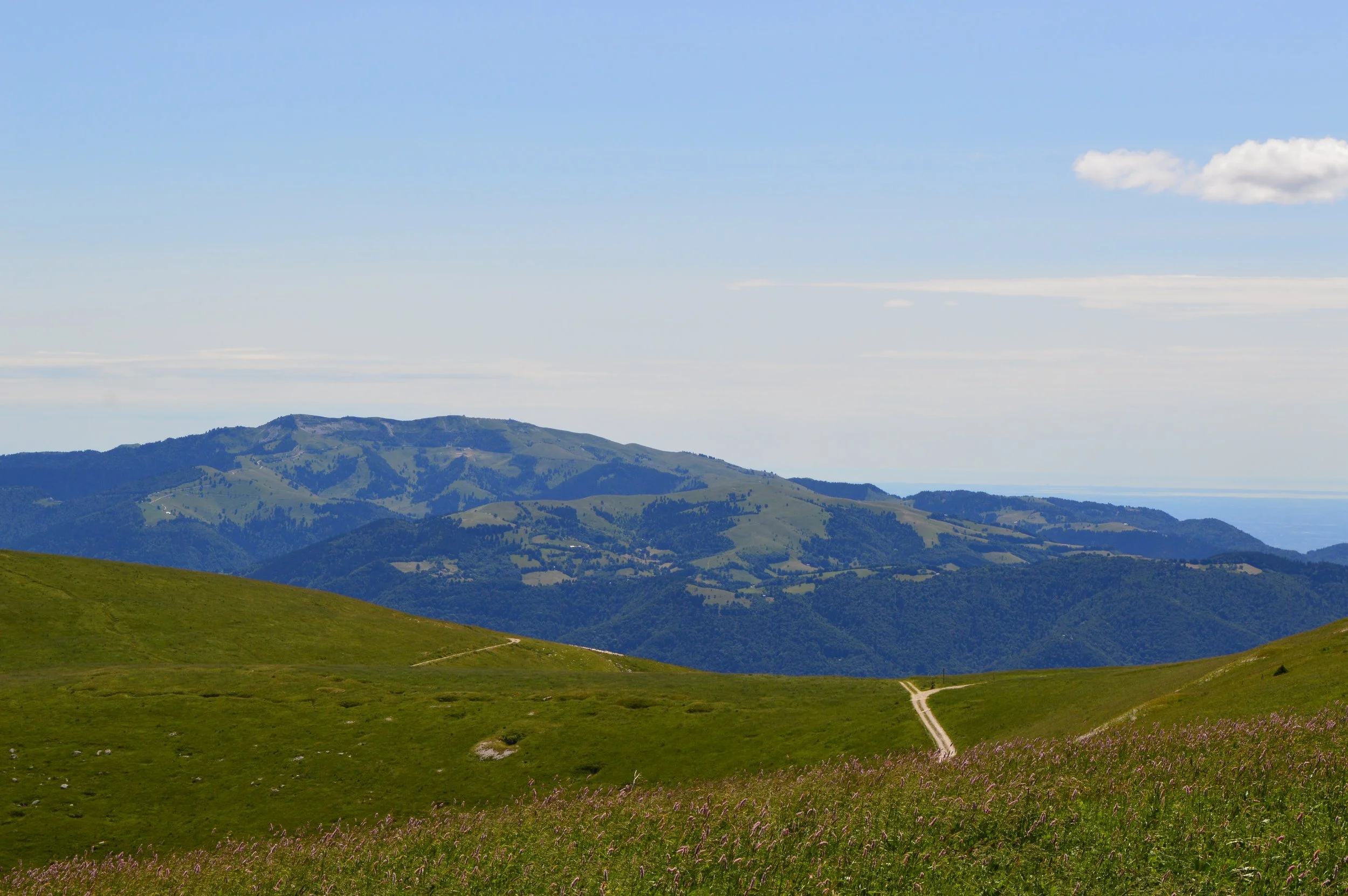 DSC_0353 ok.JPG