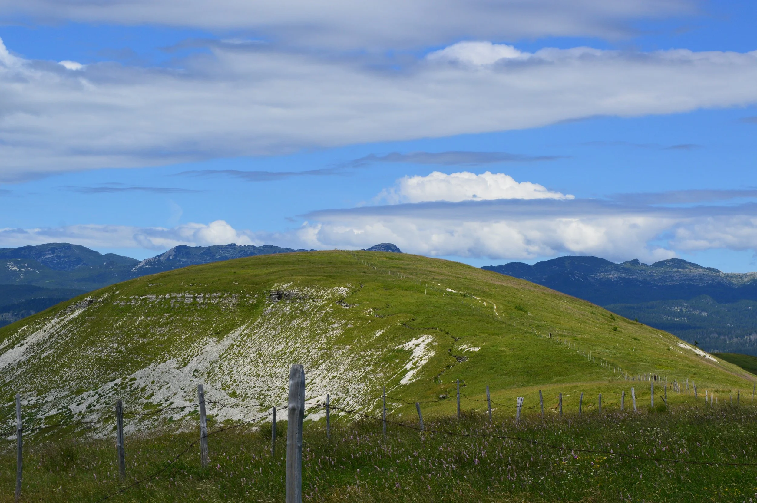 DSC_0370 ok.JPG