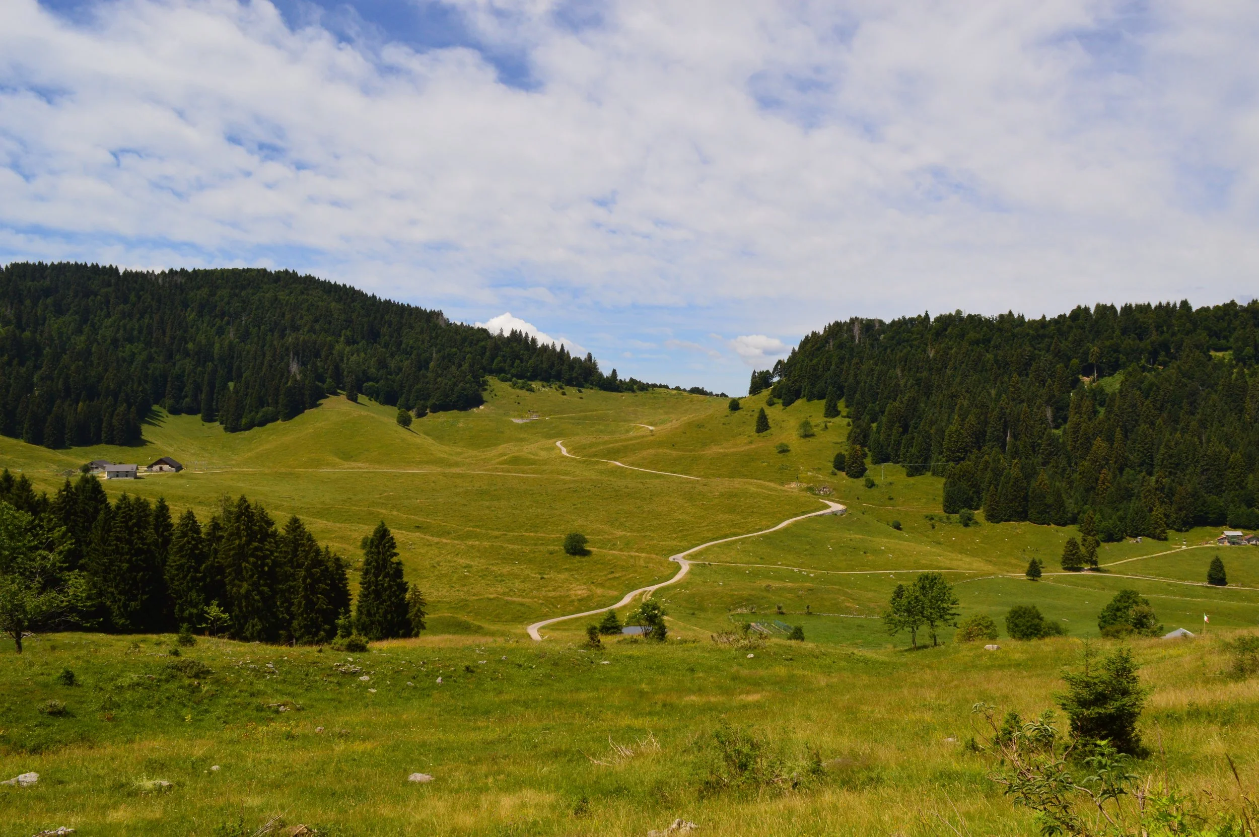 DSC_0090.JPG