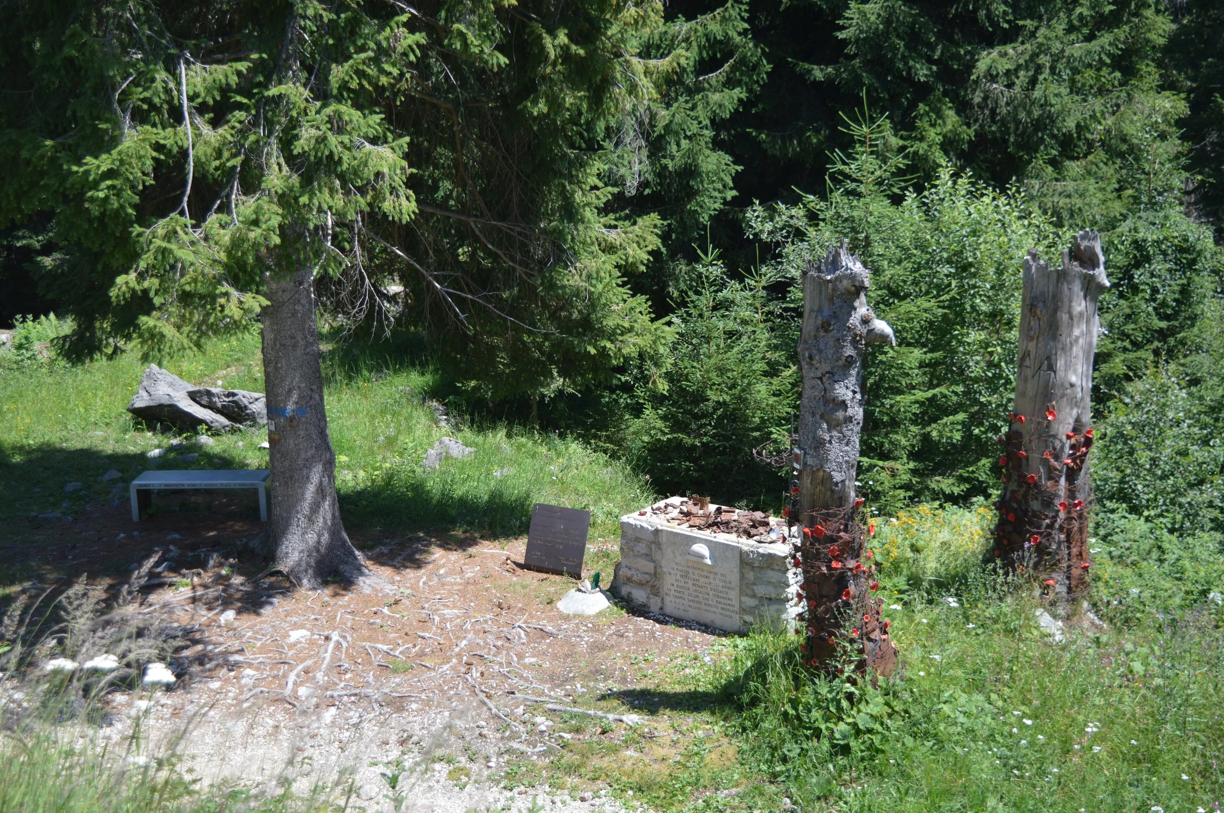 DSC_0122.JPG