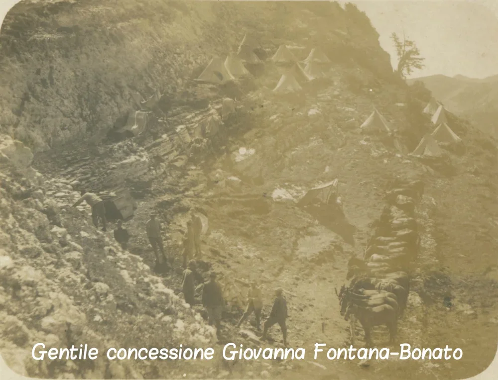 cScansione+16.webp