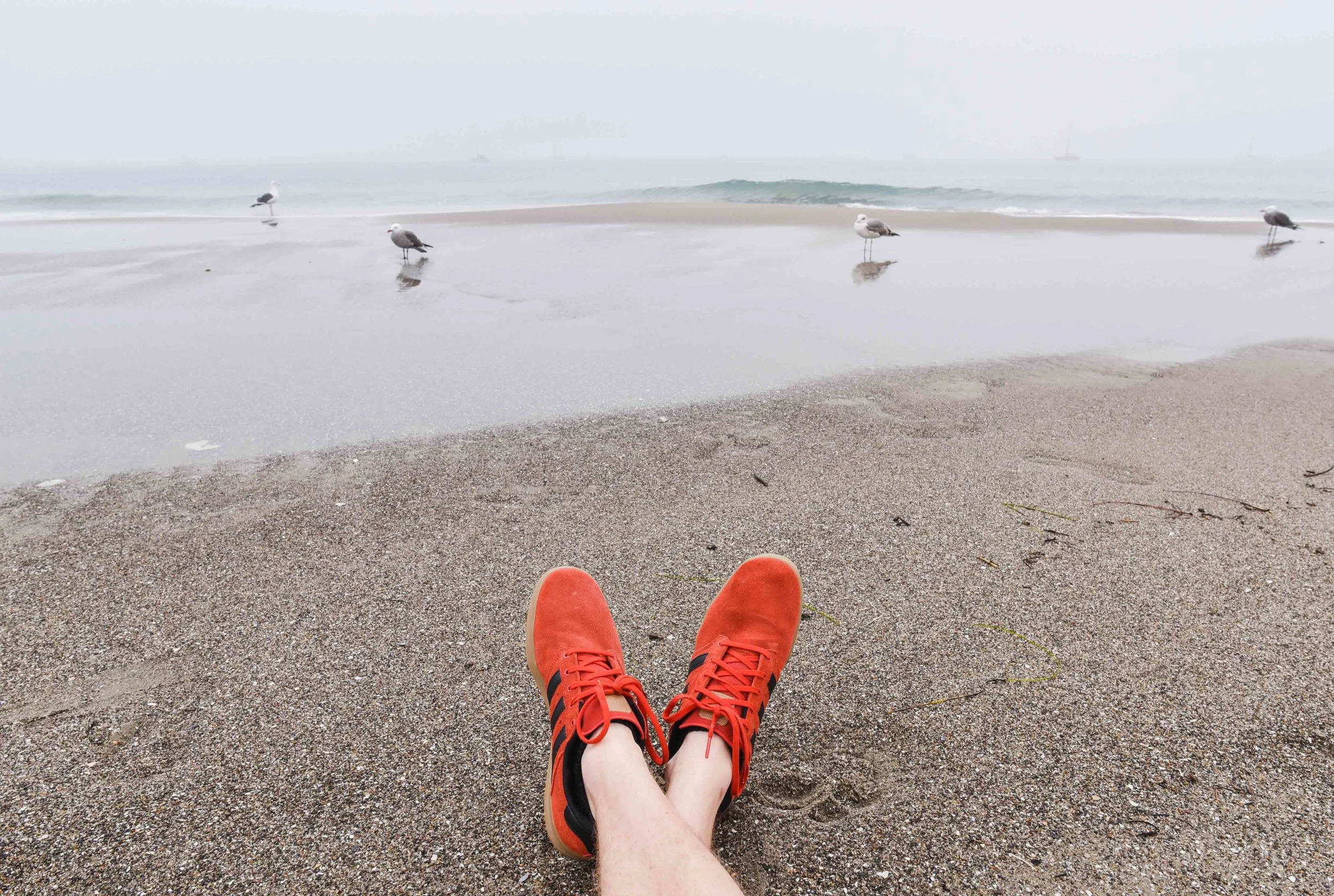 beach feet.jpg