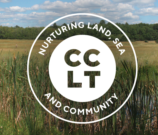 Native Vegetation Planting at Indian Point - Chebeague &amp; Cumberland Land Trust