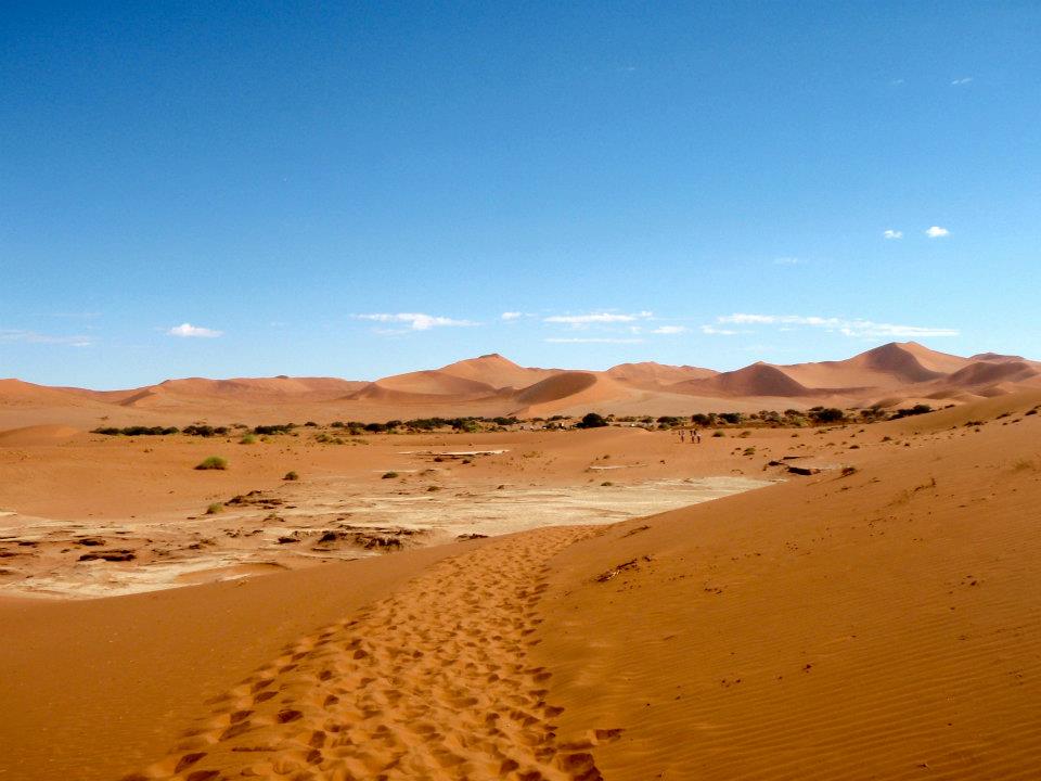 537783_1783449461110_1934454144_n.jpg
