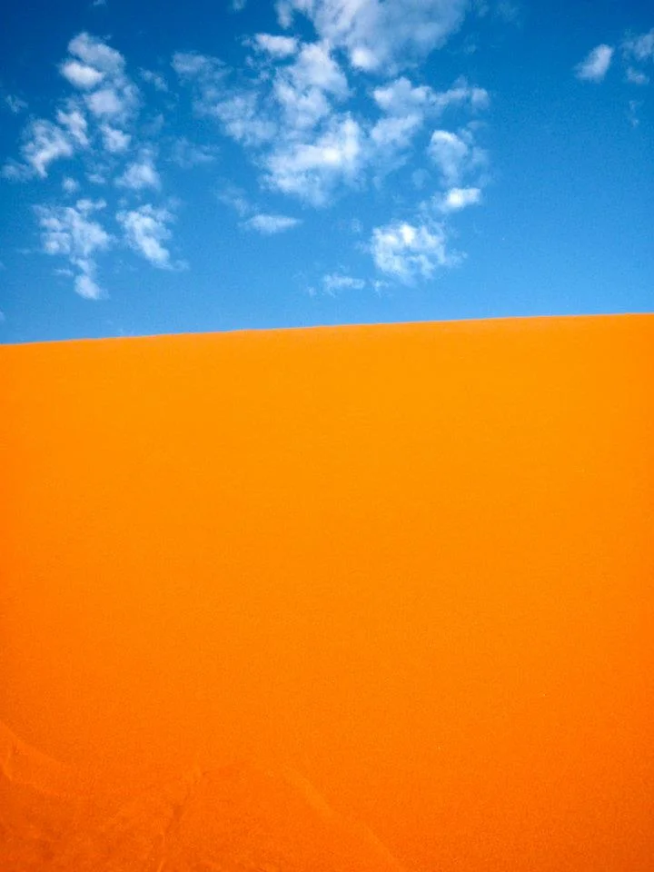 523774_1783447501061_1656955234_n.jpg