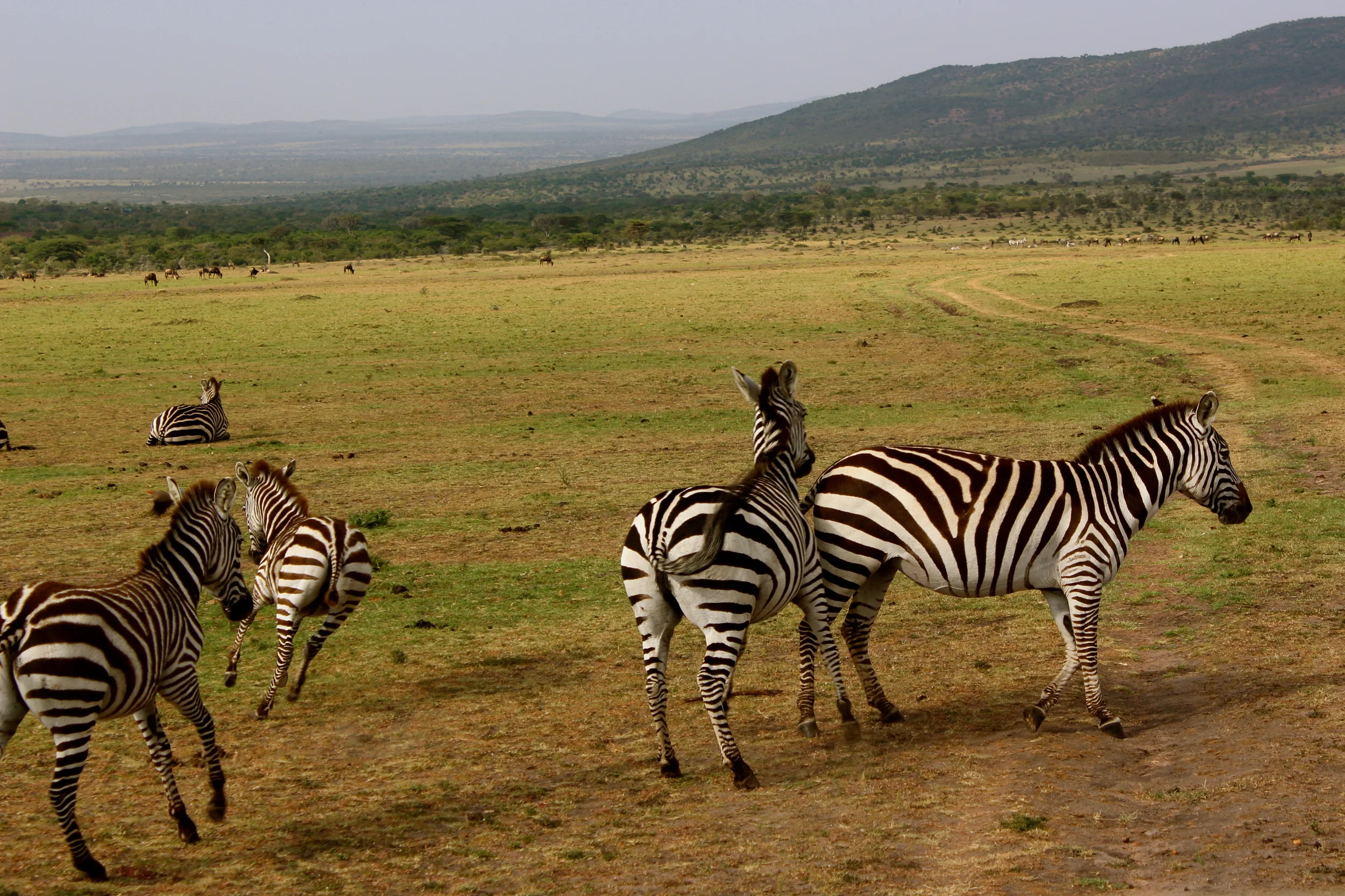 IMG_1327Kenya .JPG