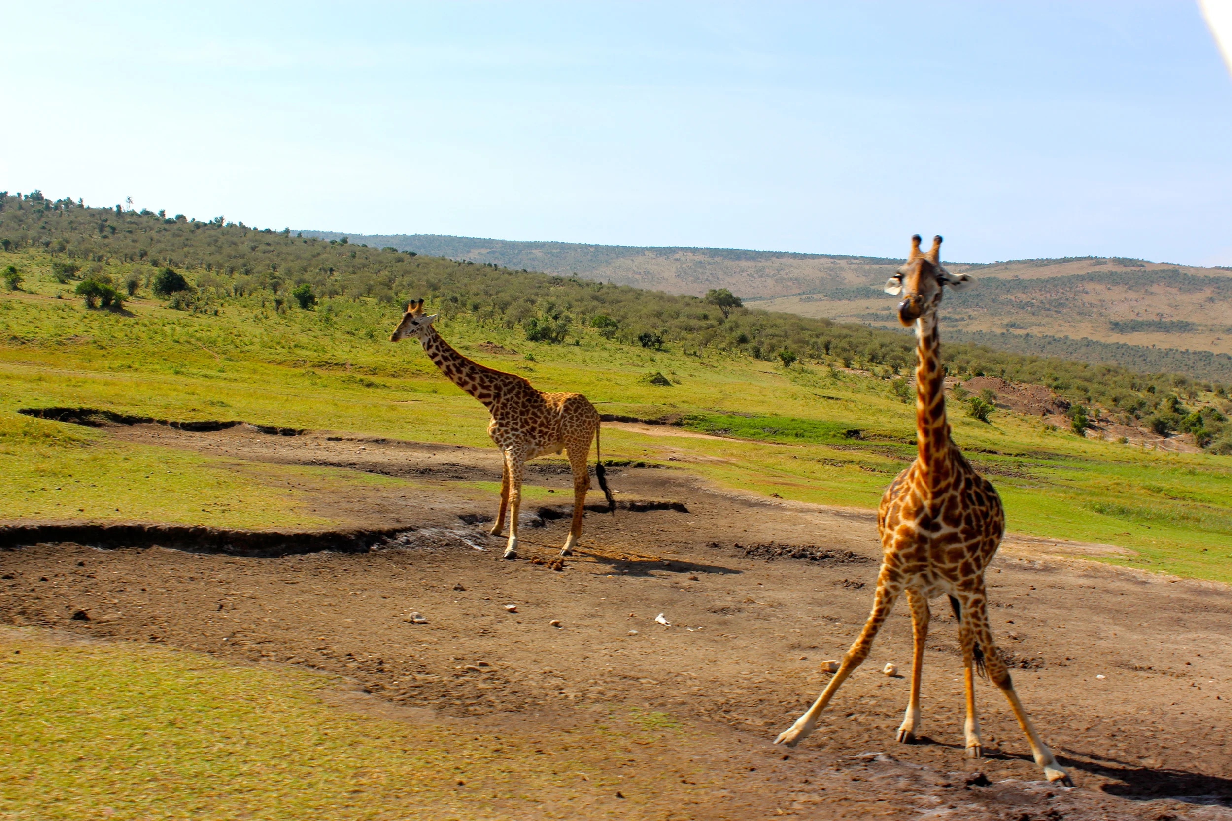 IMG_1379Kenya .JPG