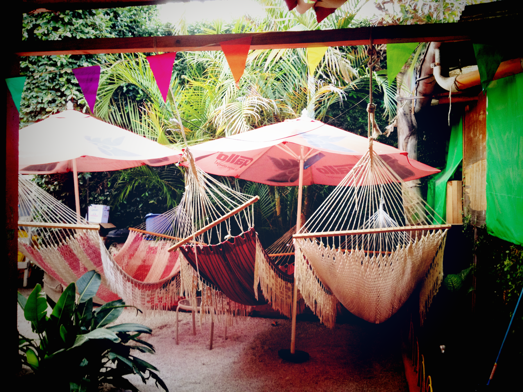 Jungle Party Hammocks.png