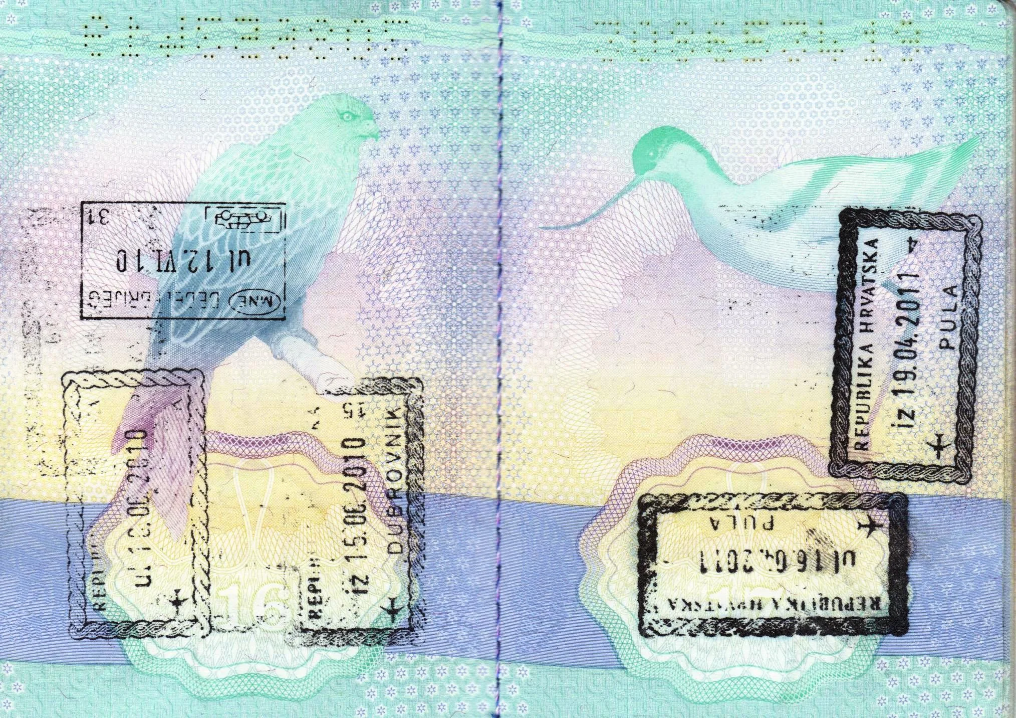mtg passport.jpg