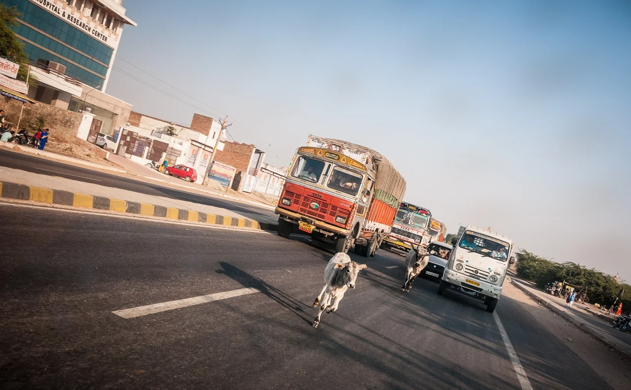 india_20.jpg