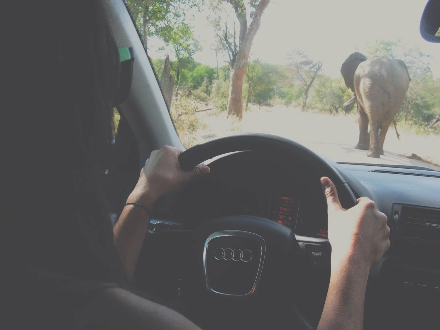 IMG_0053.jpg