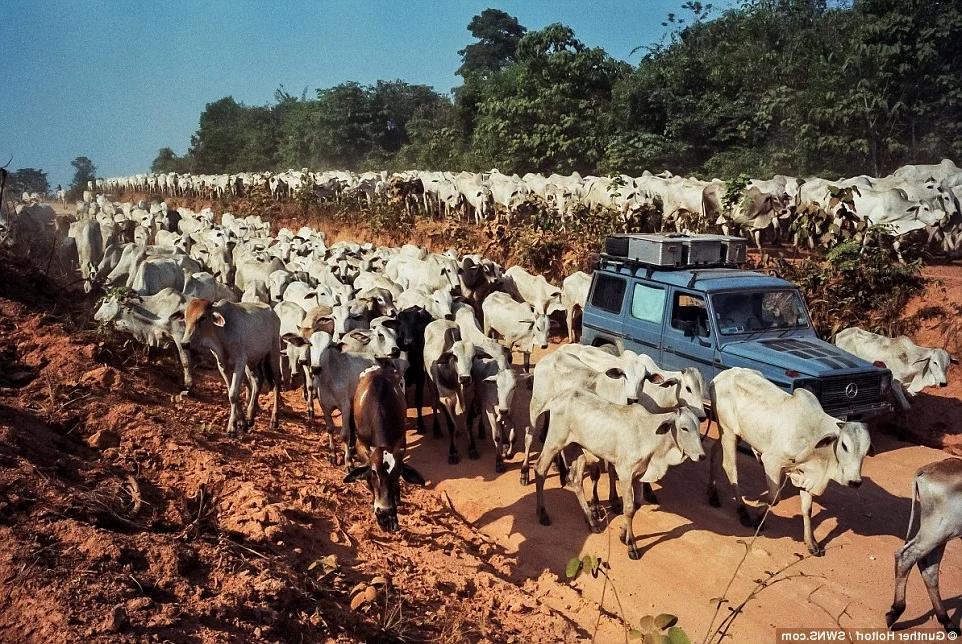 Video Inspiration: The Epic Traveler Behind This 26 Year Road Trip Is One Of "Human History's Greatest Individual Travelers"