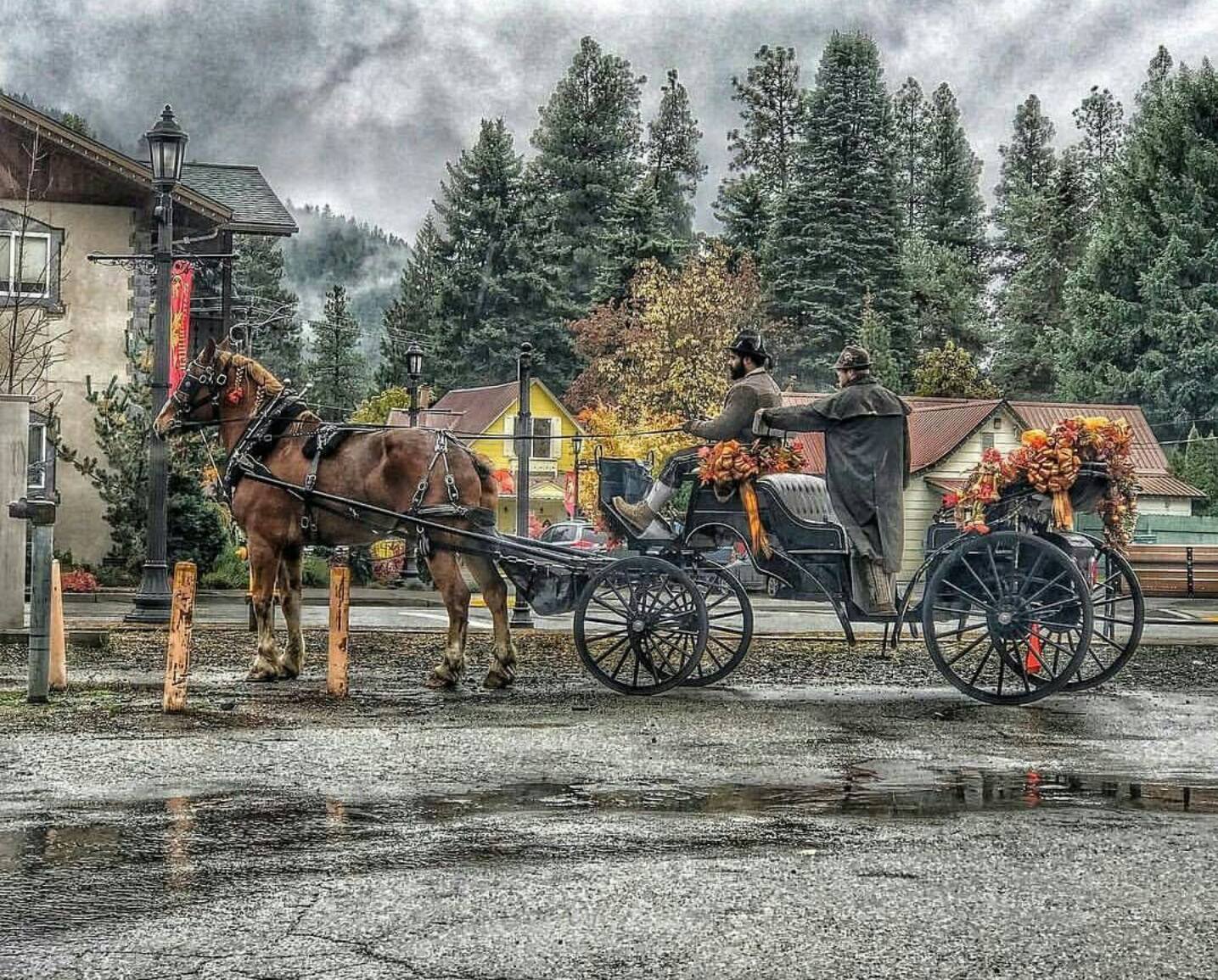 Our carriage drivers, Ben and Blake, along with our horse Olav, taking a break downtown. 