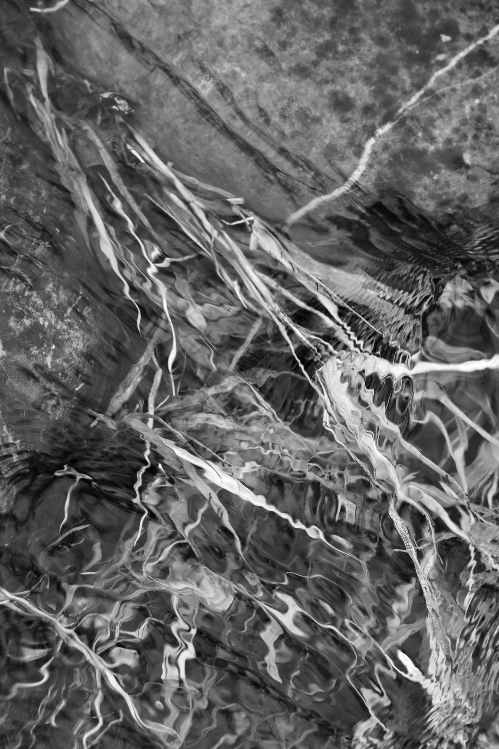 Mercy 2026 19 x 27 inches w/ border