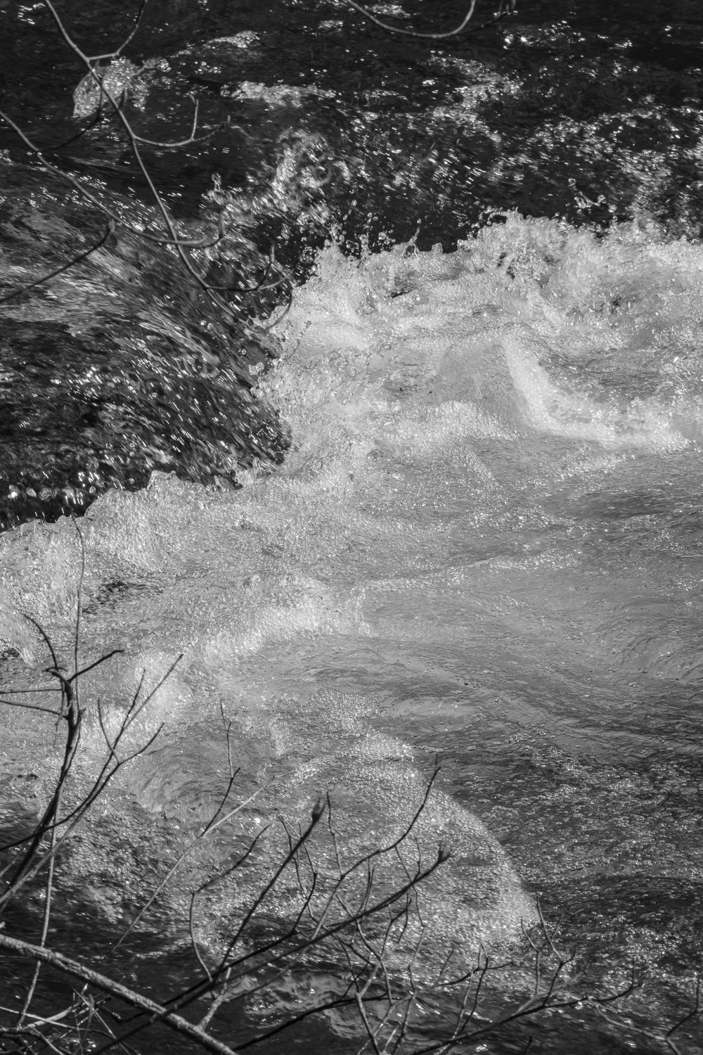 River's Edge 2026  19 x 27 inches w/border