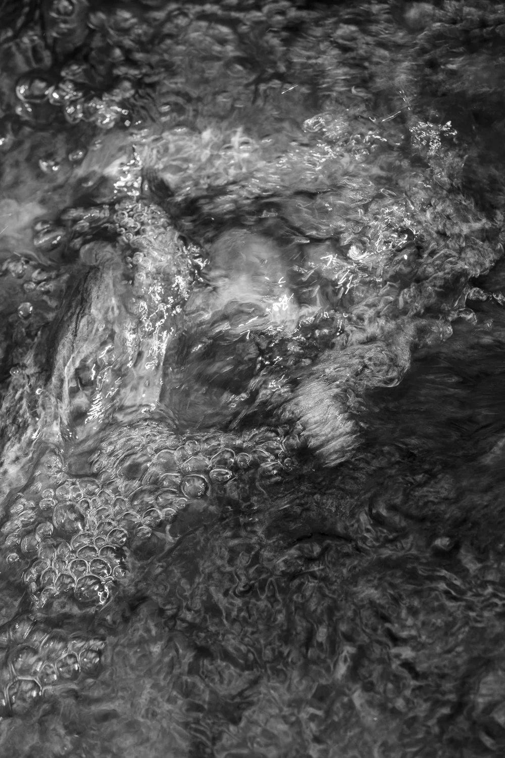 Surround 2026 19 x 27 inches w/border