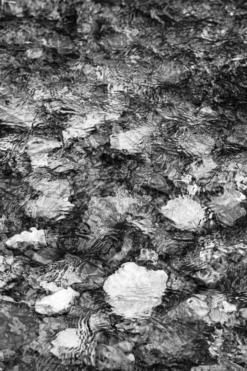  Score 2026 19 x 27 inches w/border