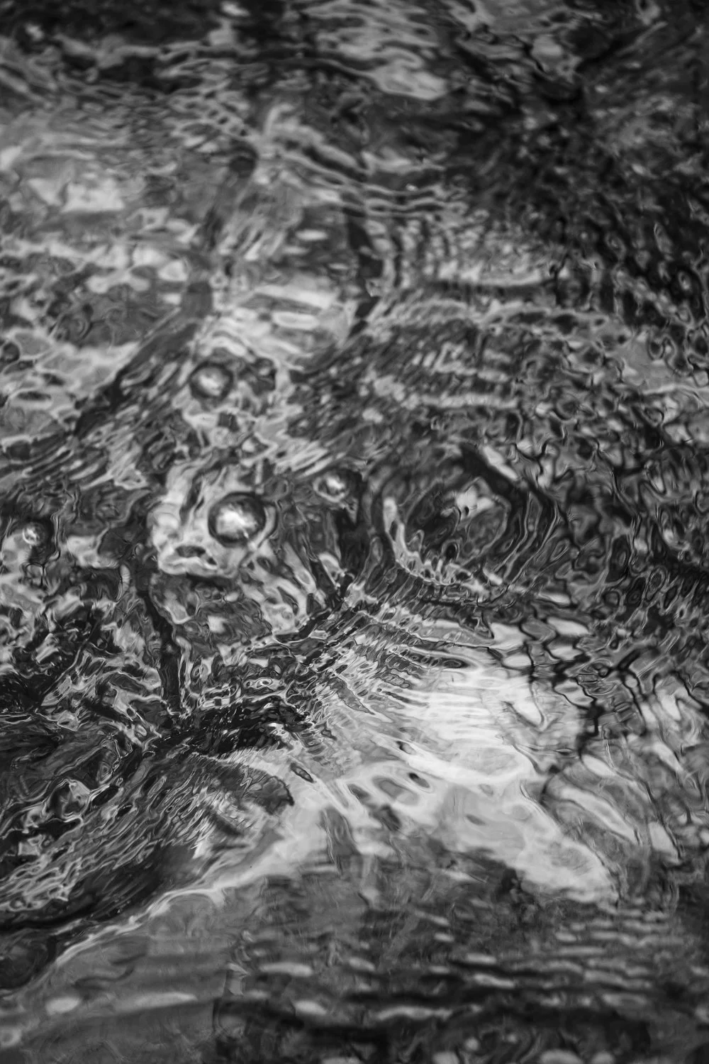 Burst Bubble 2026 19 x 27 inches w/border