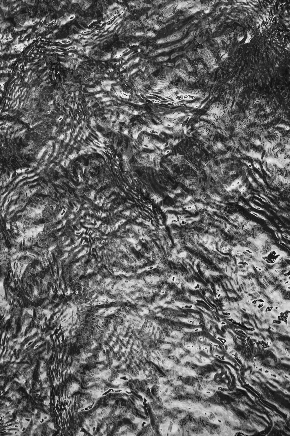 5_So Much to Notice.jpg