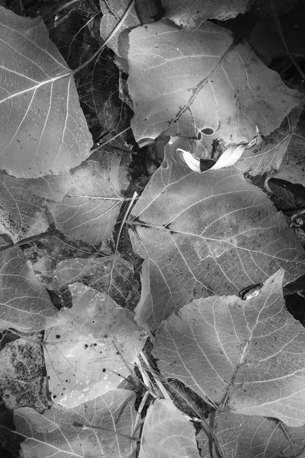 7_Under the Surface I.jpg