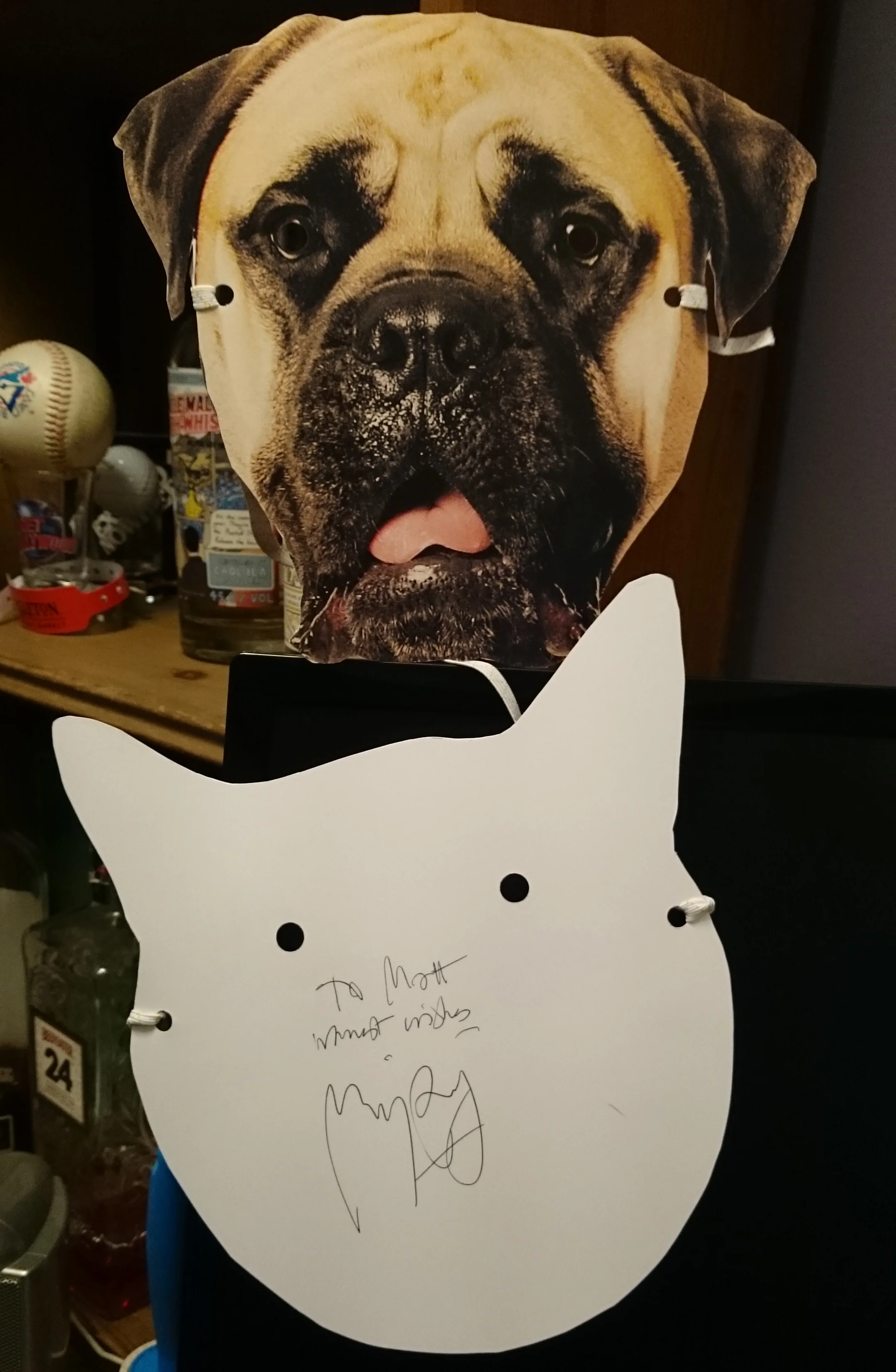 At the screening we were given Mr Whiskers and Bosco masks, despite my dislike of cats, I got a cat one... Bright side, I got director Marjane Satrapi to sign it for me. She is a big cat person.