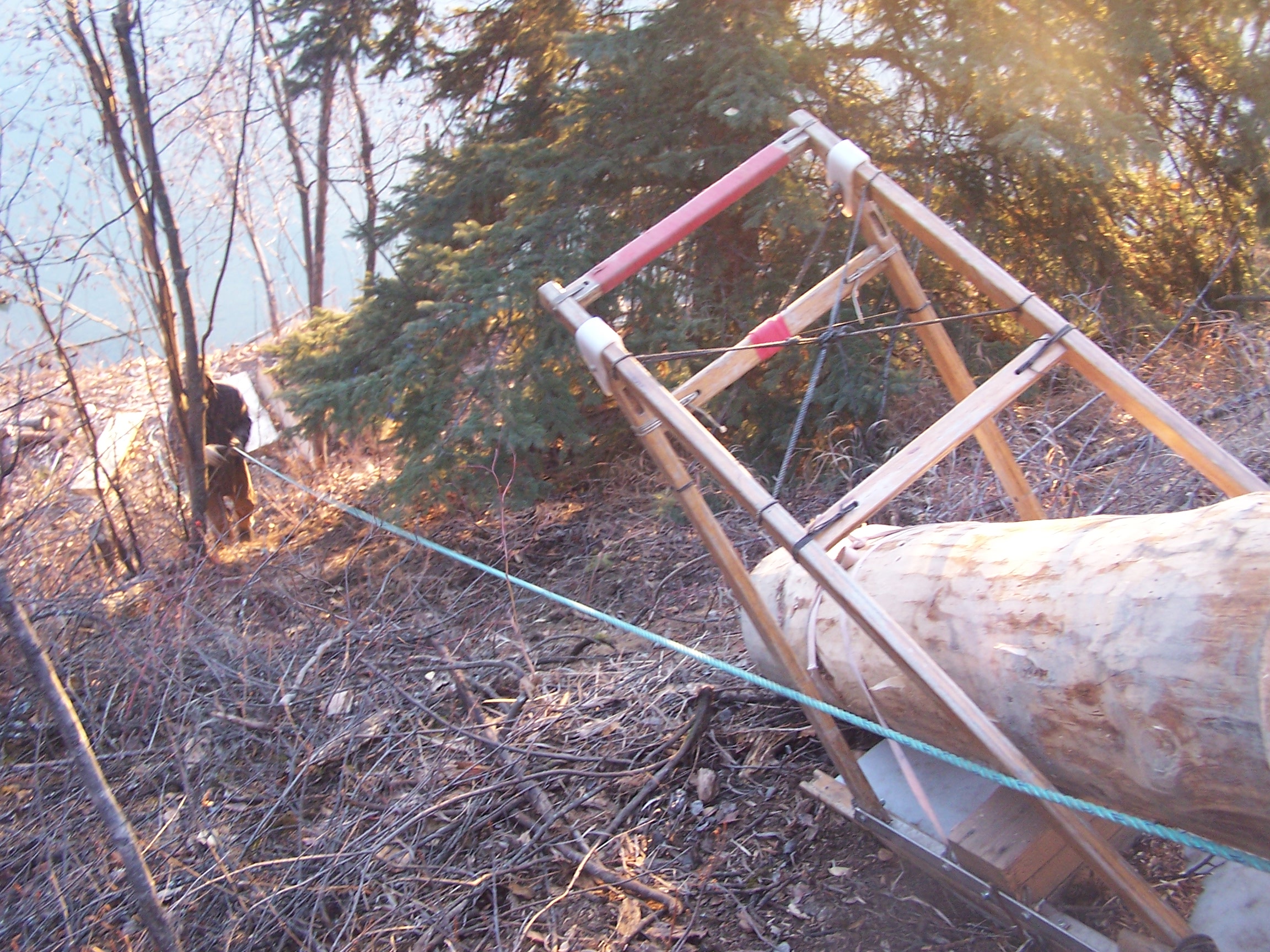 Hauling logs up the hill method 2- block and tackle, comealong, and old dogsled.